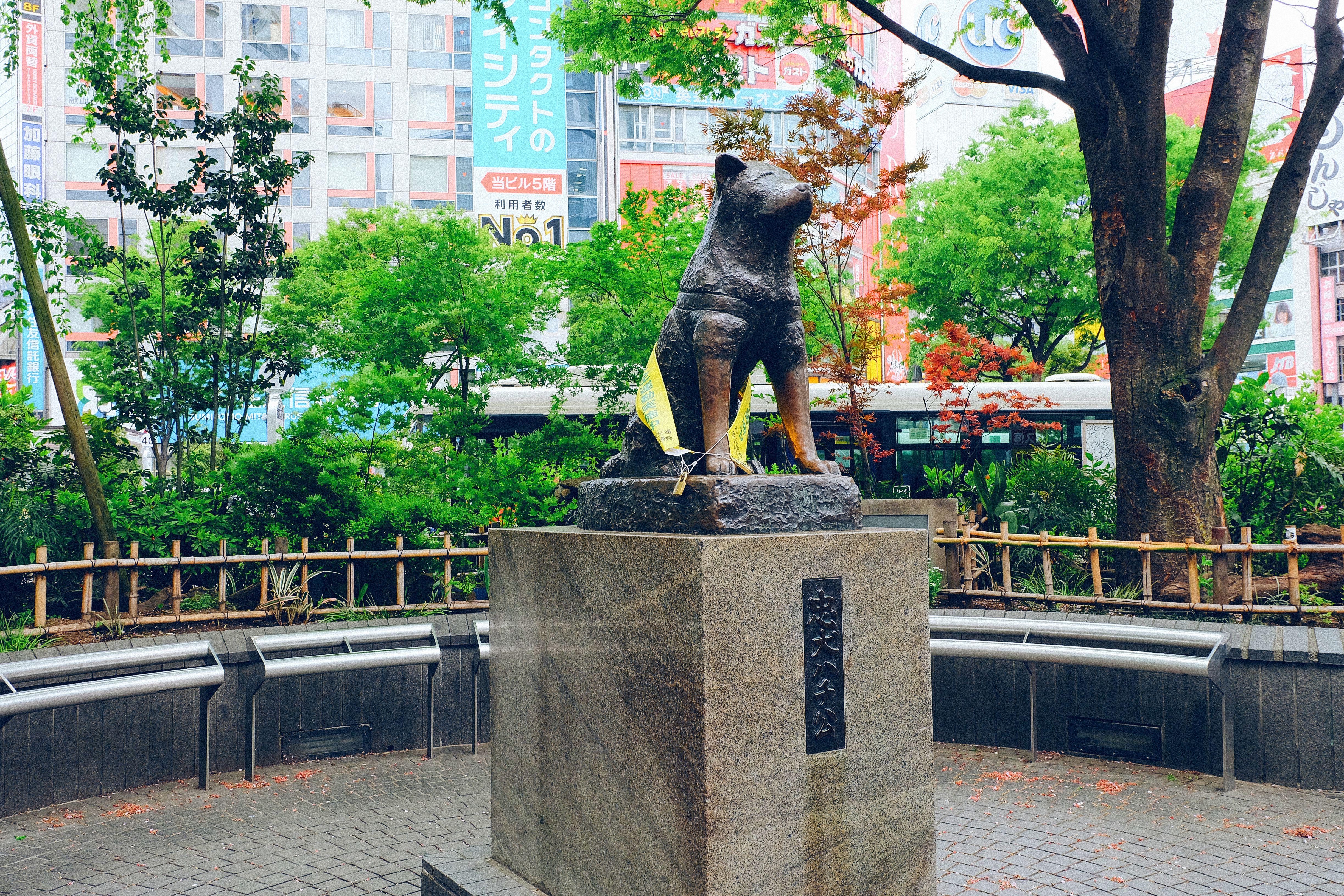 Япония: Алое путешествие (22/50)