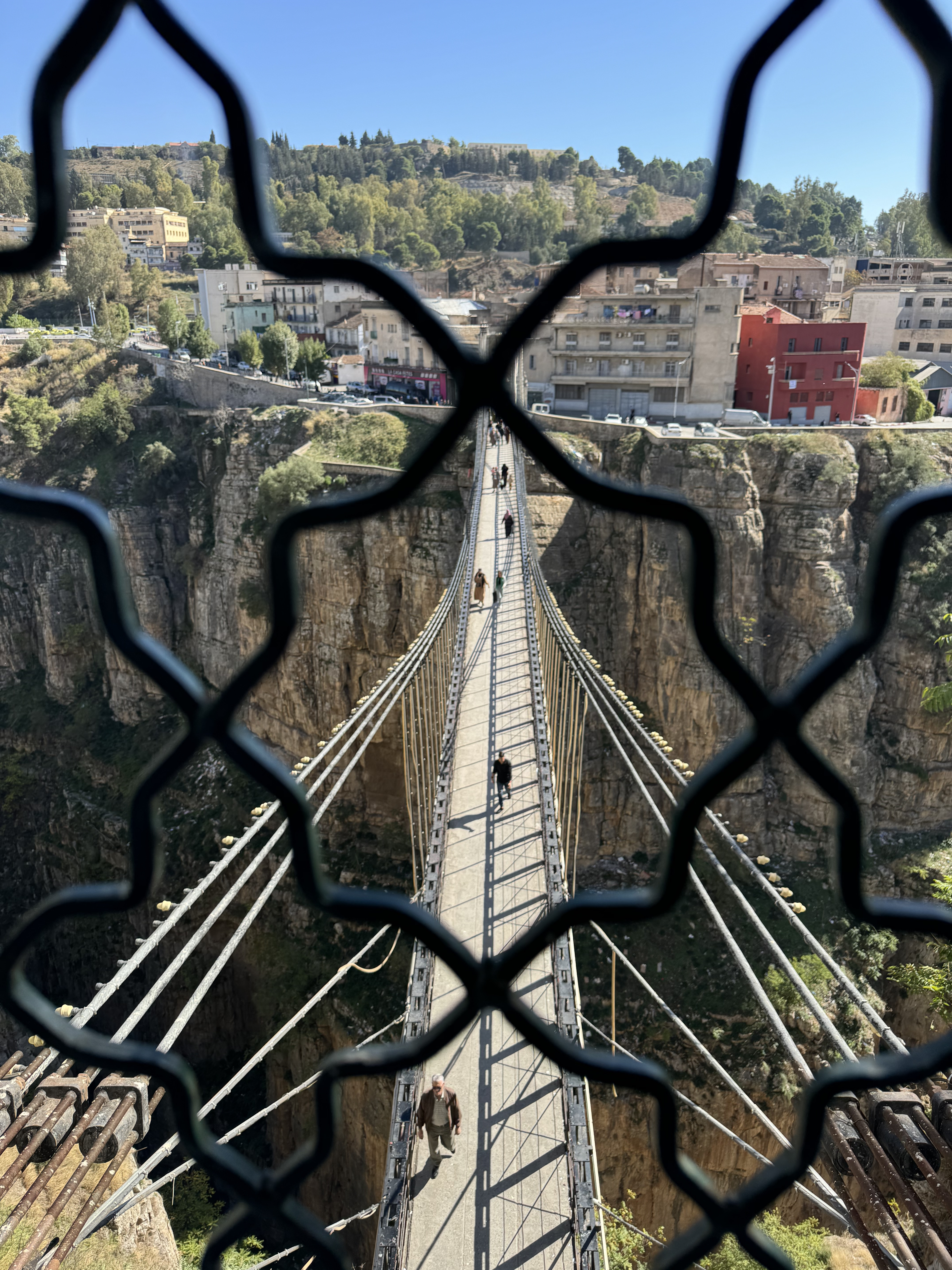 Алжир с востоковедом (20/30)