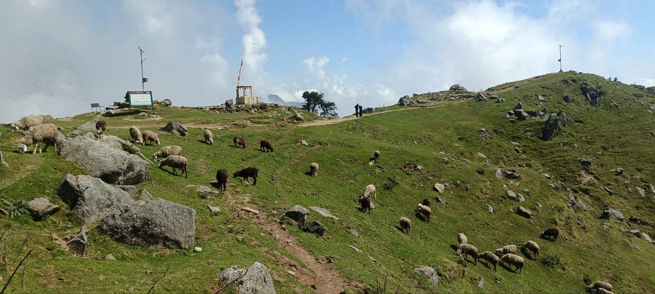 К Далай-Ламе на майские: мини-путешествие в Гималаи (2/17)