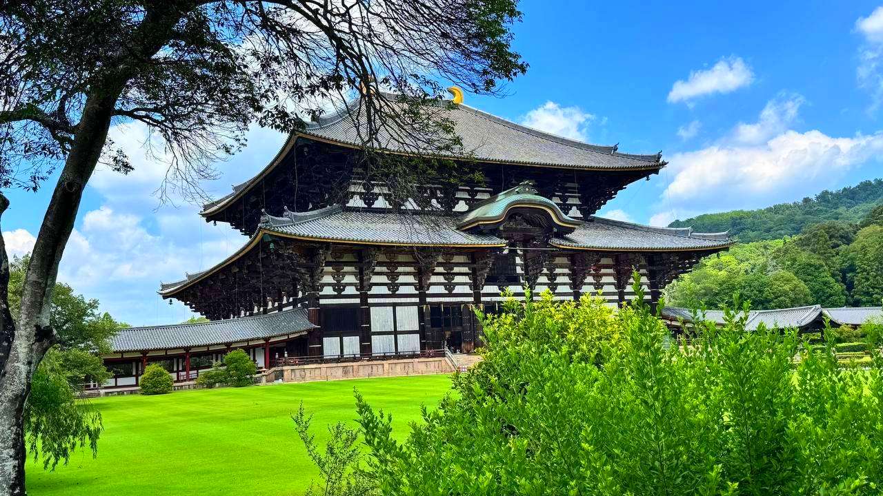 Япония: Алое путешествие (42/50)