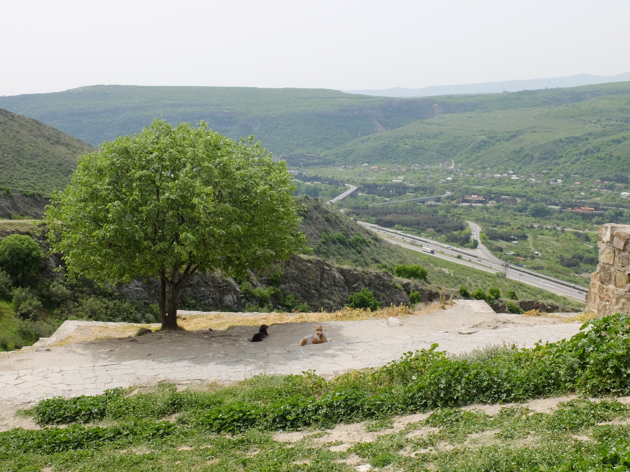 Грузия. Тбилиси и рядом. Тур с религиоведом (15/22)