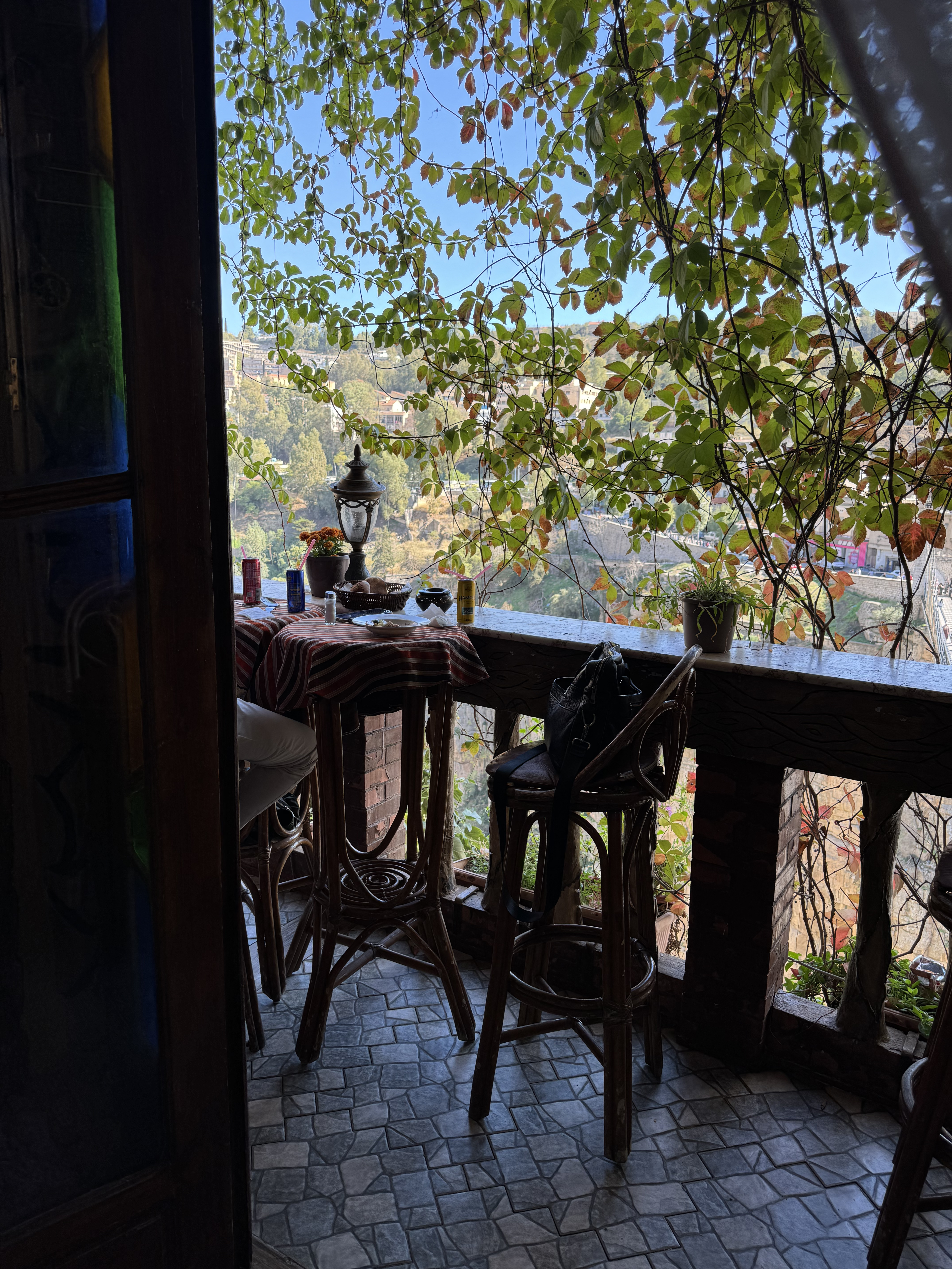 Алжир с востоковедом (9/30)