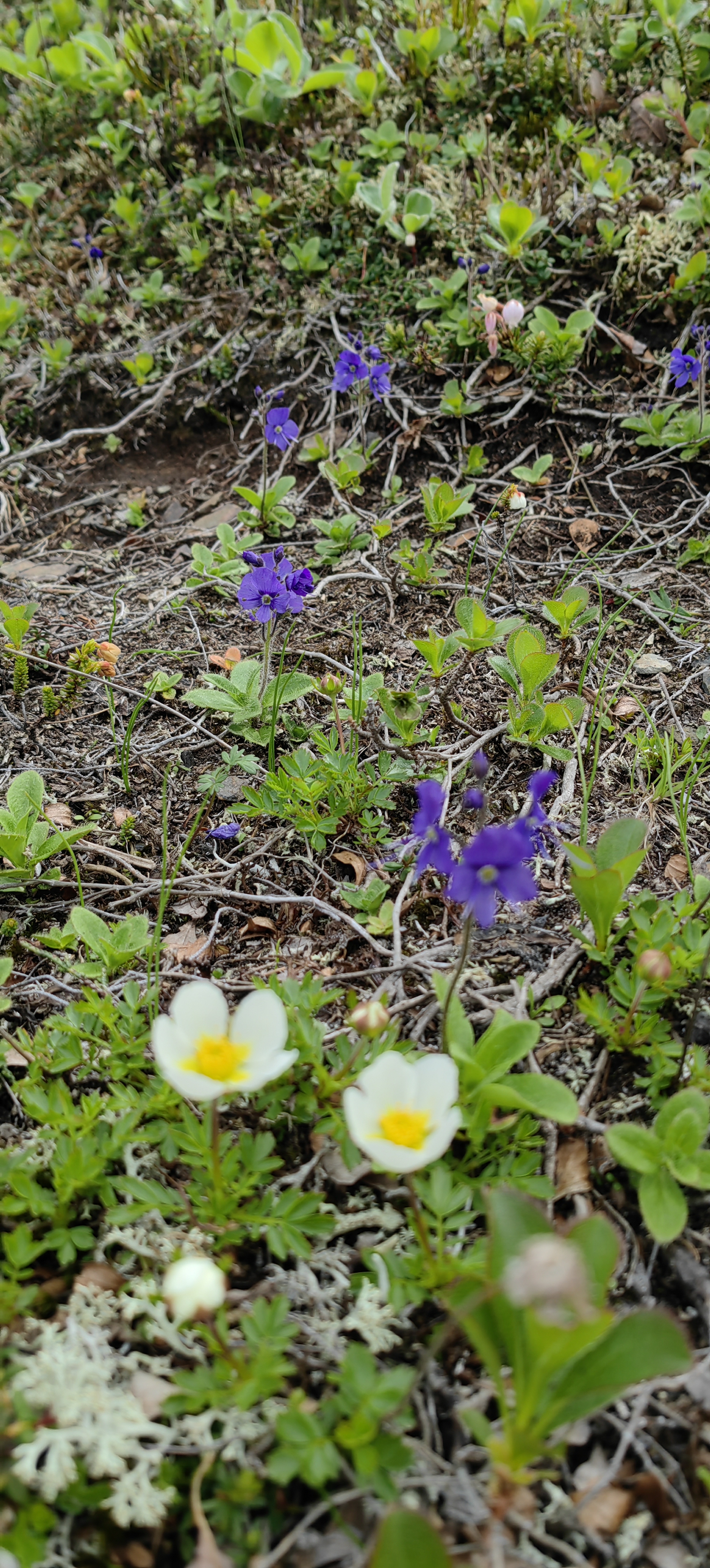 Джип-тур в край гор и водопадов (тур для компаний 1-4 чел., цена за всех) (25/29)