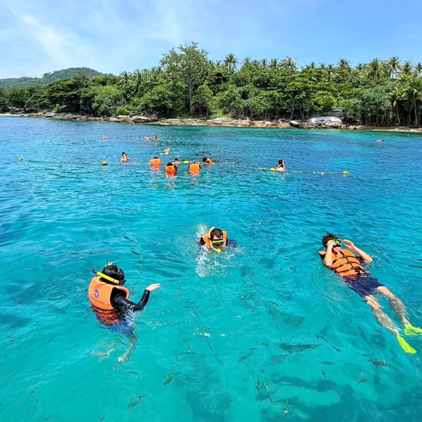 Тропический круиз в Рай Программа полного дневного морского похода (9/15)