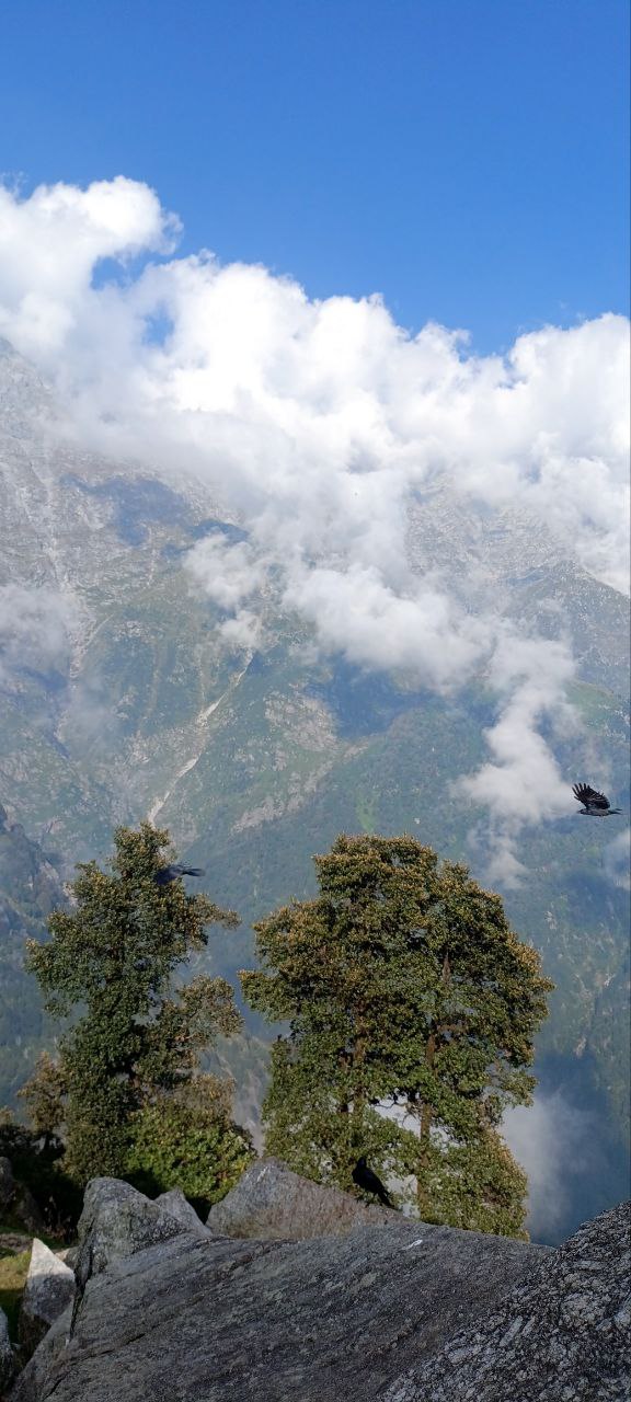 К Далай-Ламе на майские: мини-путешествие в Гималаи (5/17)