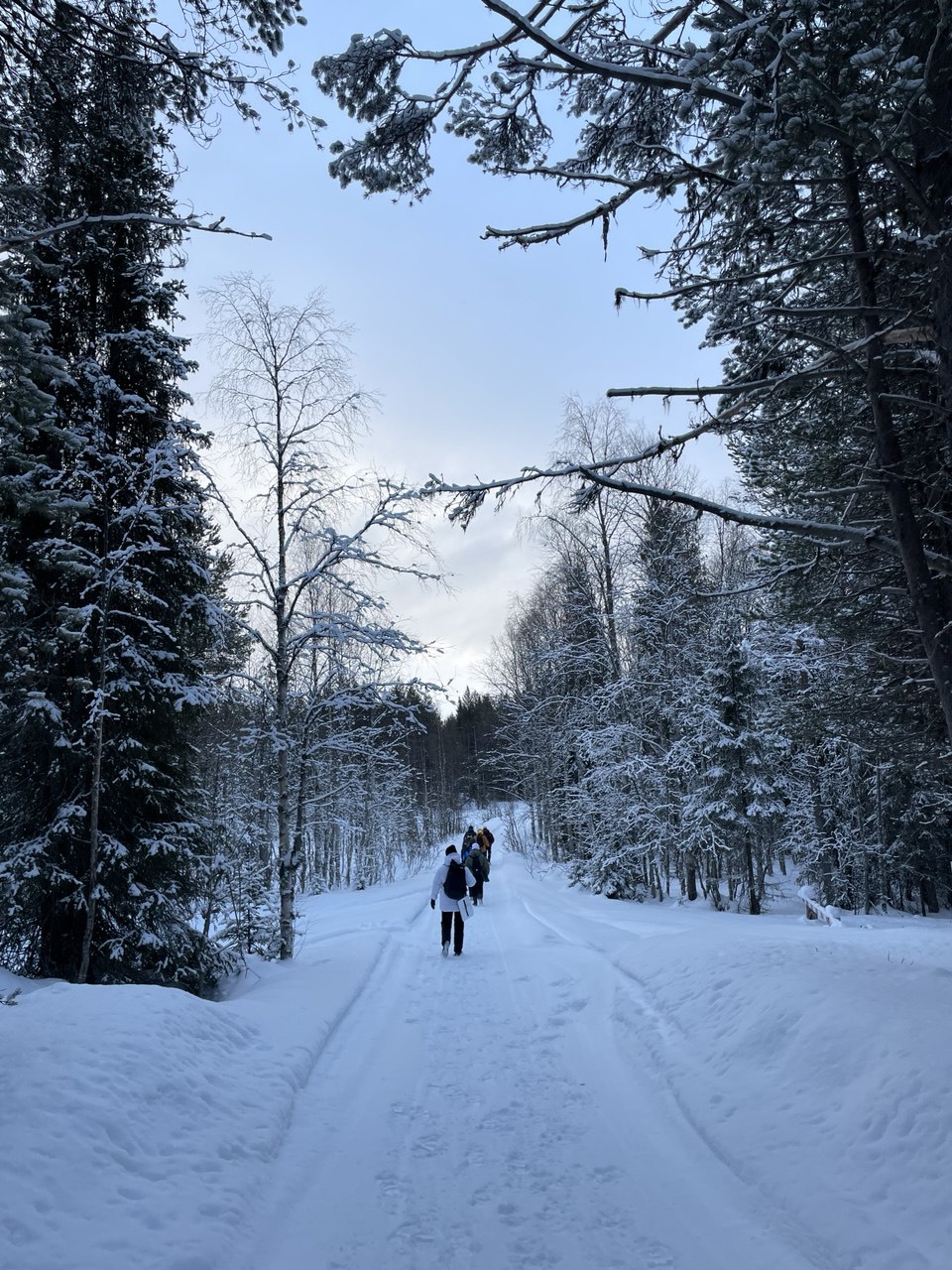 Паанаярви: Сердце зимней Карелии (15/16)
