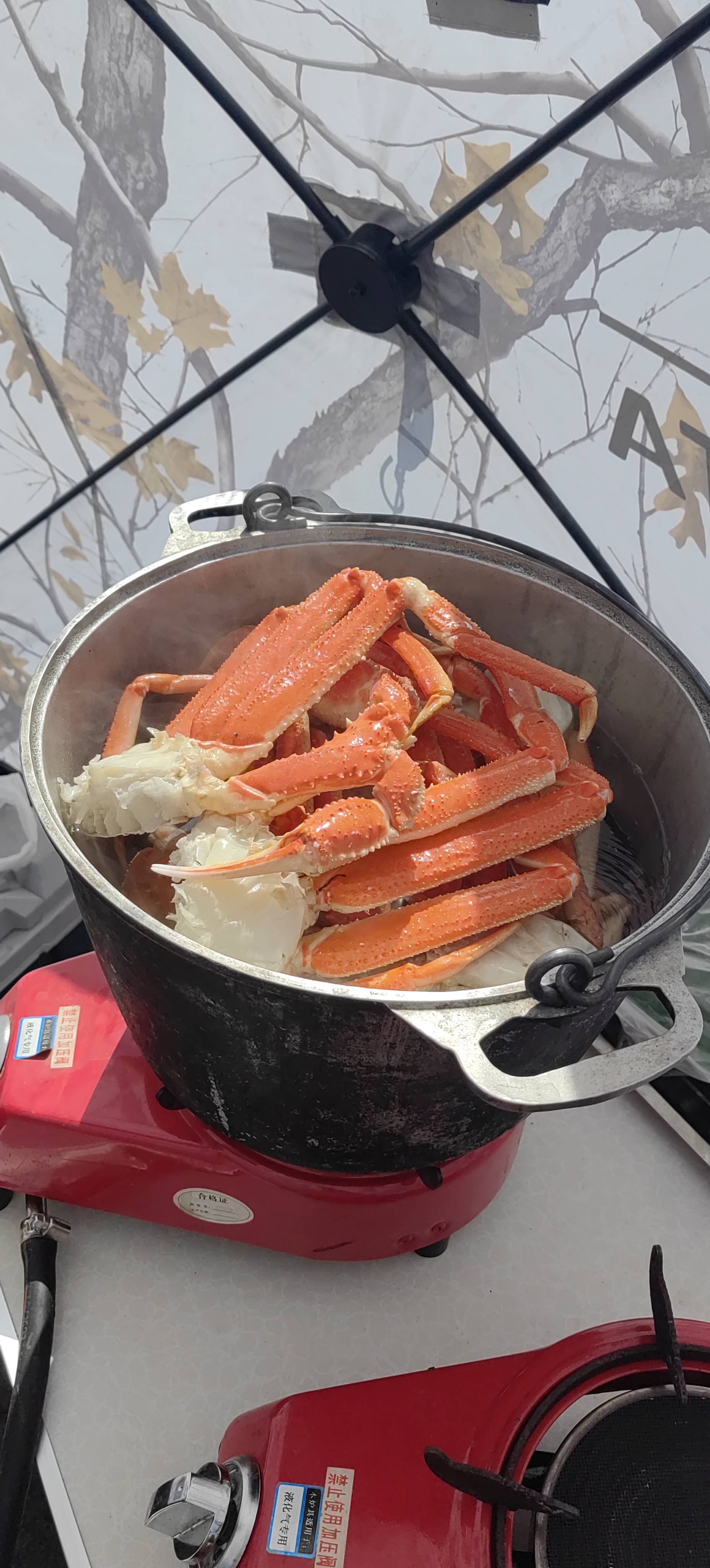 Пикник на Халактырском пляже (тур для компаний 2-4 чел.) (3/17)