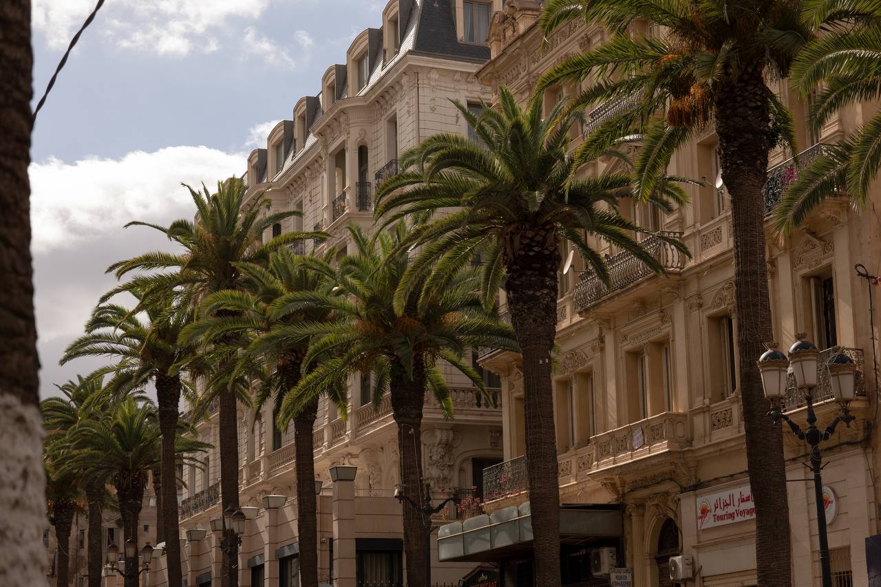 Алжир с востоковедом (23/30)