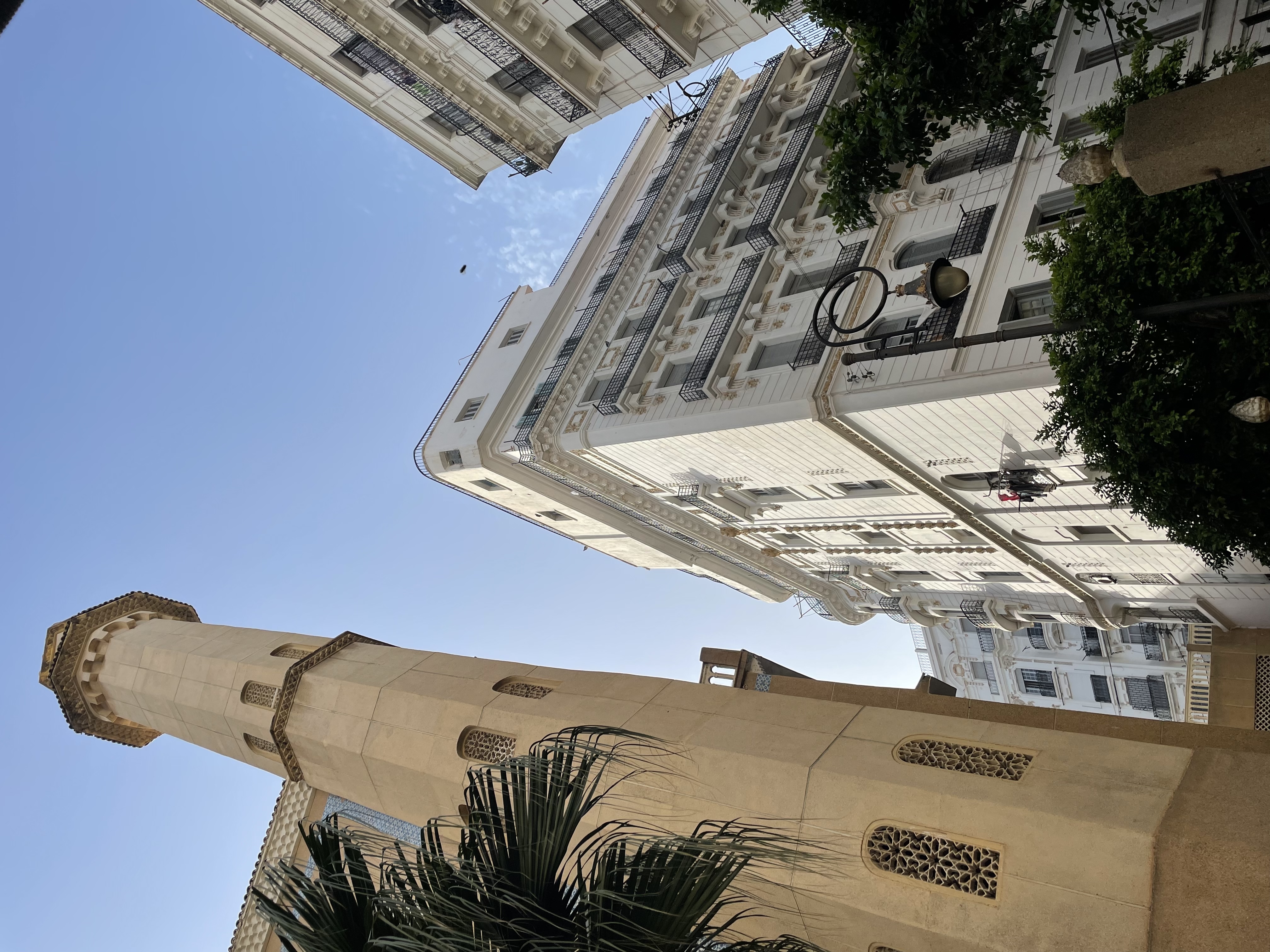 Алжир с востоковедом (14/30)