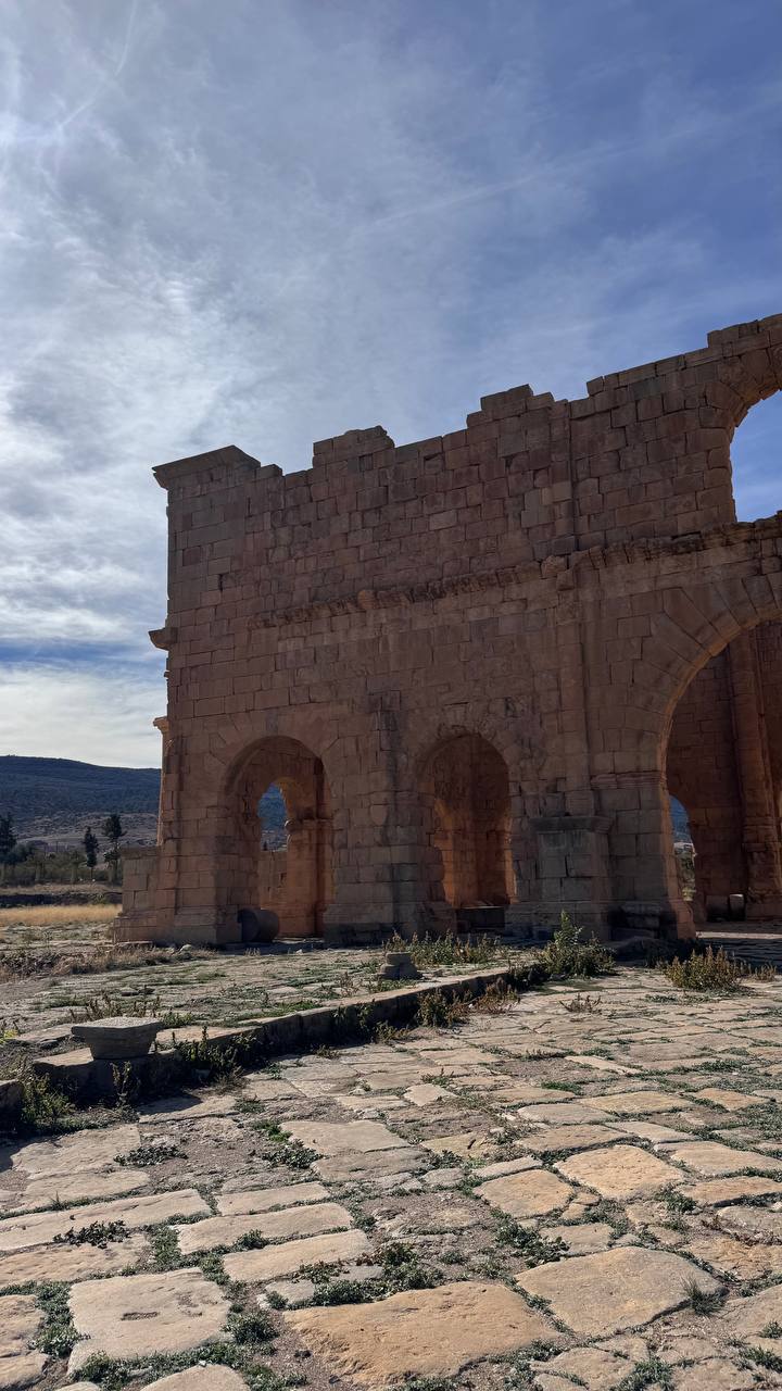 Алжир с востоковедом (7/30)