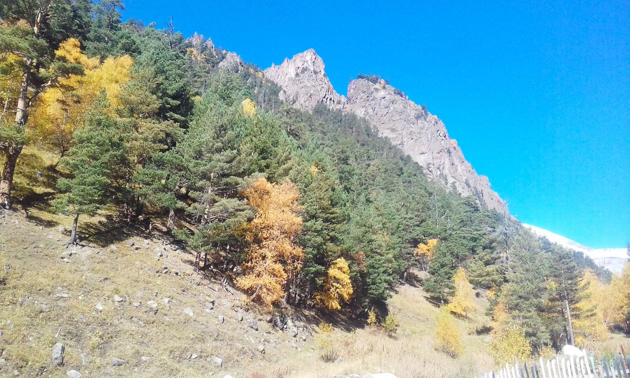 Кавказ - новые горизонты ( со скидкой!!,  все включено , 6 дней) (42/107)