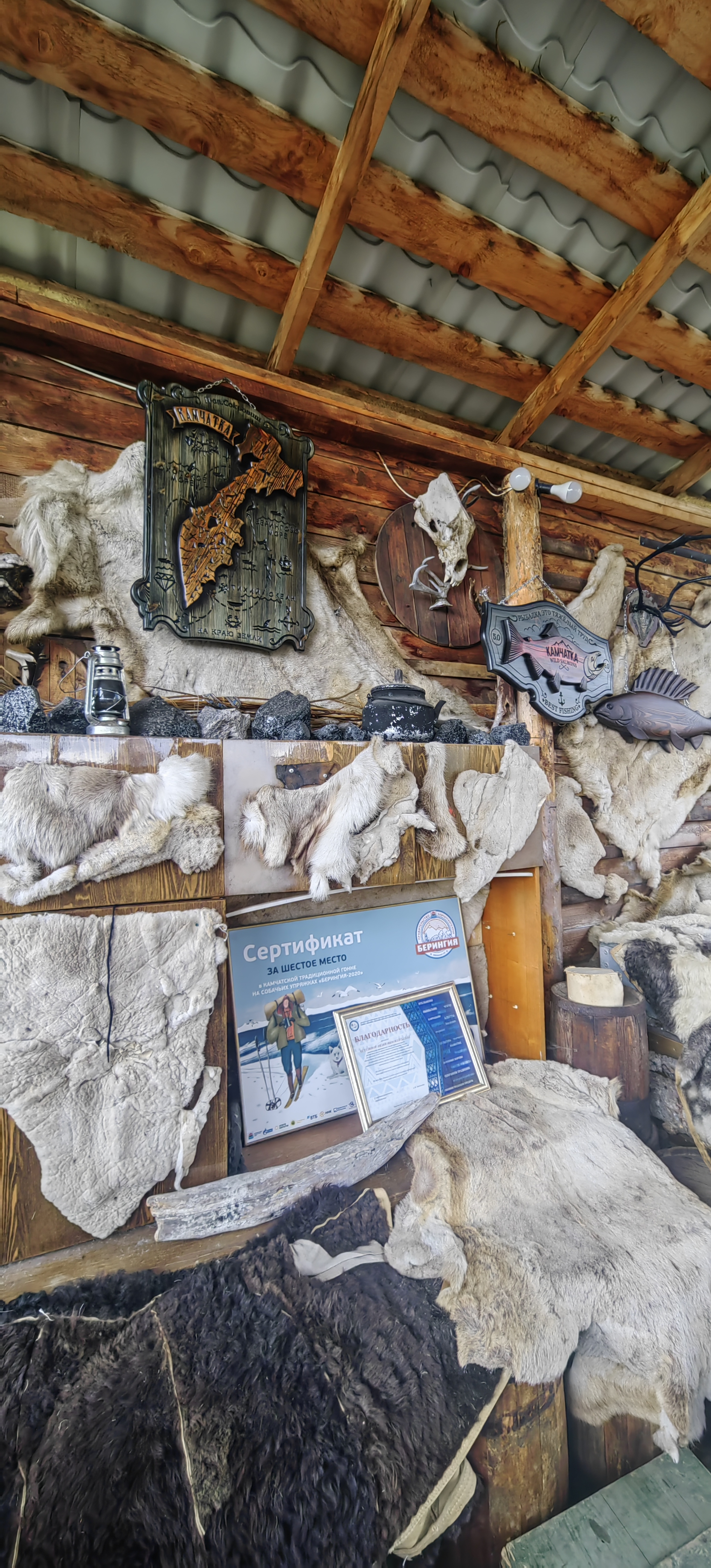 Первое знакомство с Камчаткой (тур для компаний 1-4 чел., цена за всех) (13/17)