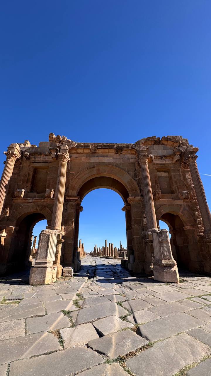 Алжир с востоковедом (21/30)