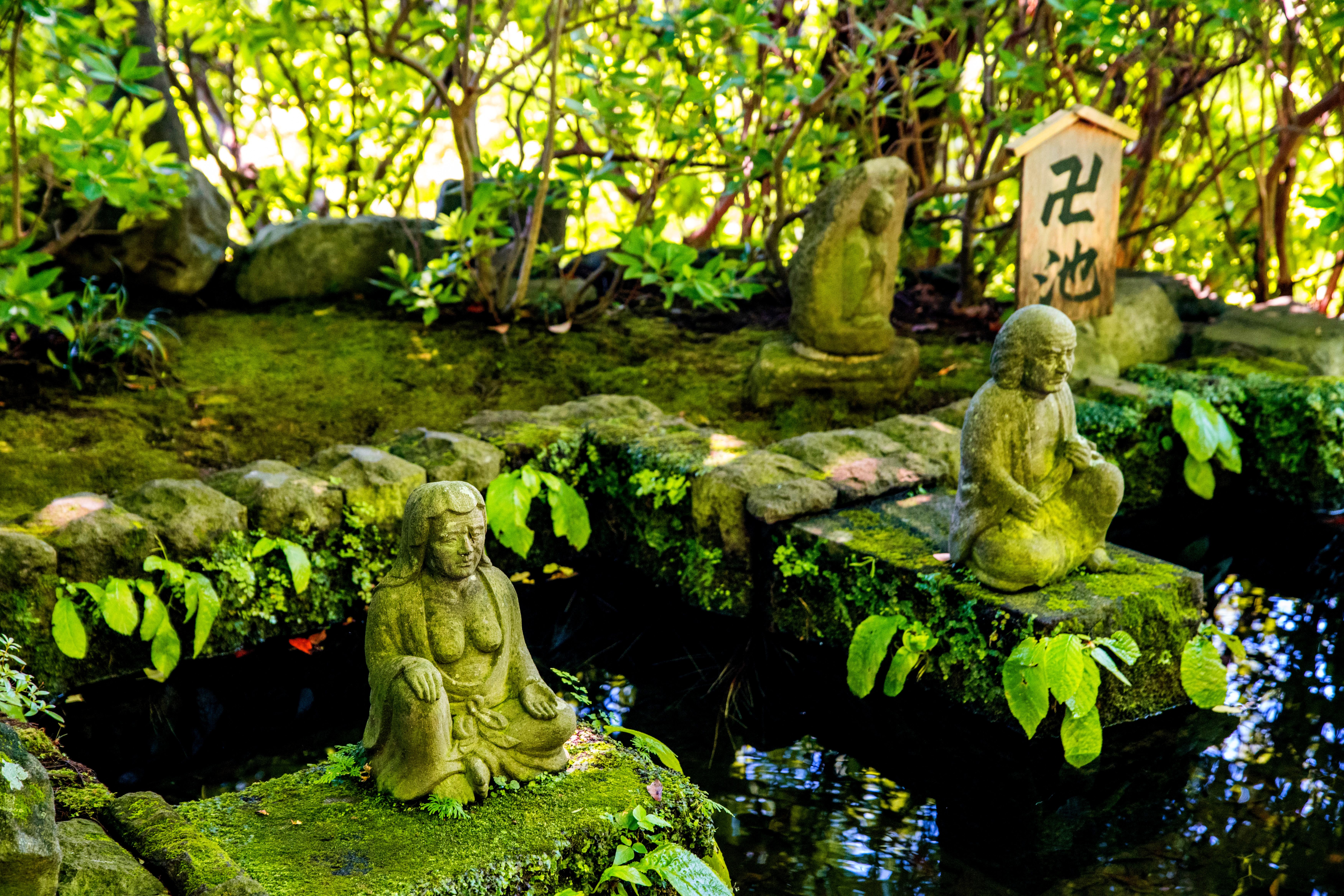 Япония: Алое путешествие (2/50)