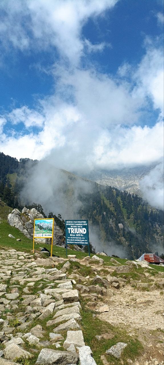 К Далай-Ламе на майские: мини-путешествие в Гималаи (3/17)