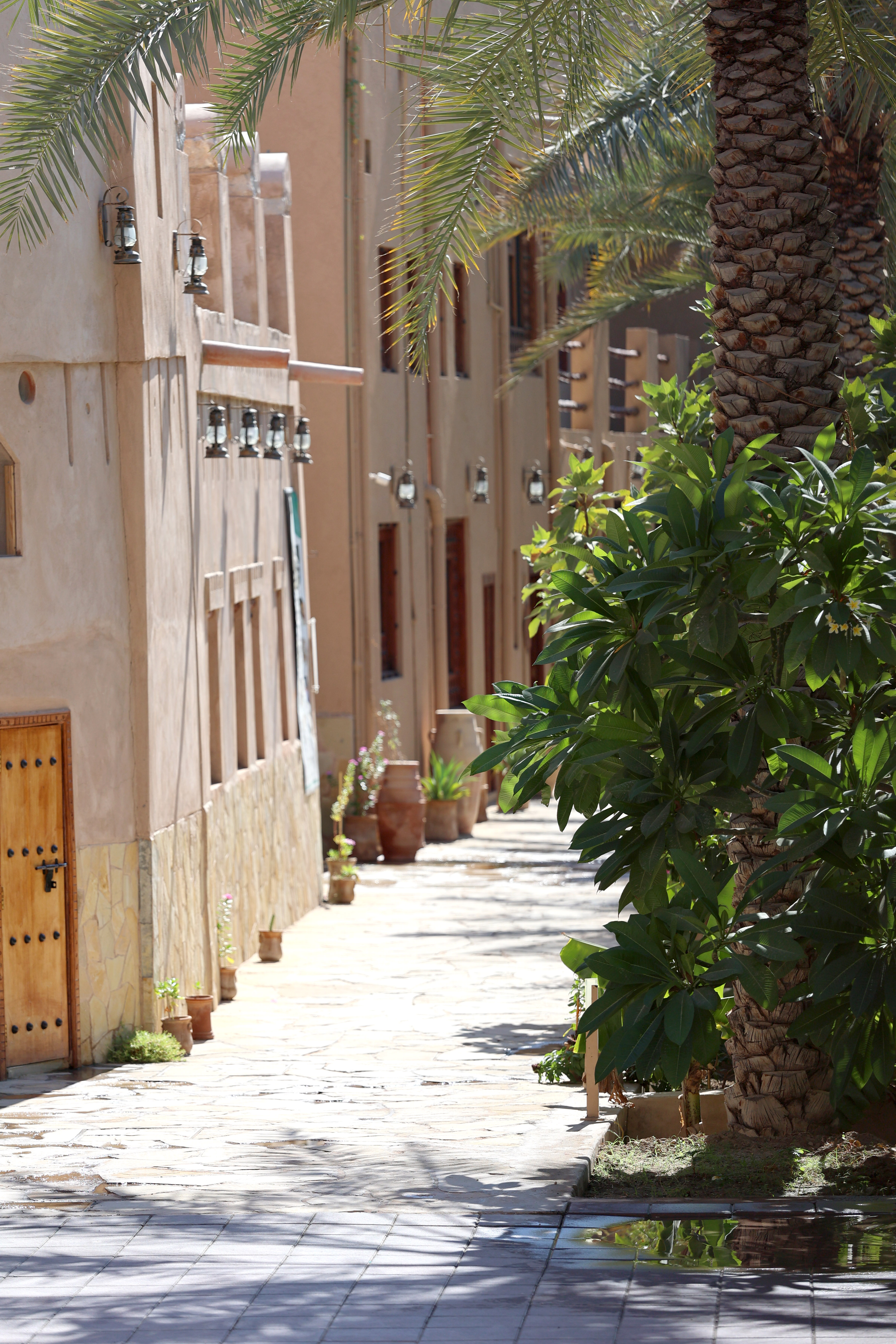 Timeless Oman — вся история Султаната за один день для самых любознательных (15/20)