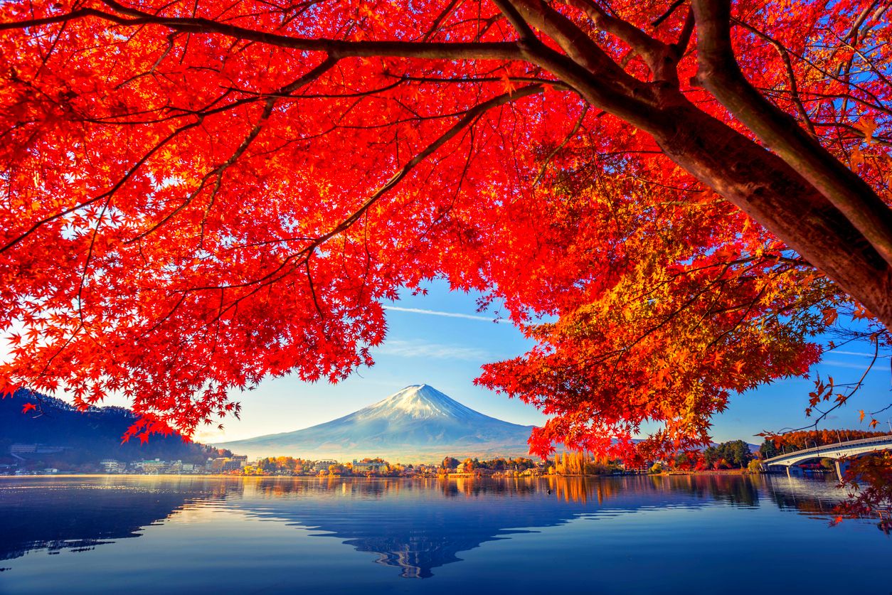 Япония: Алое путешествие