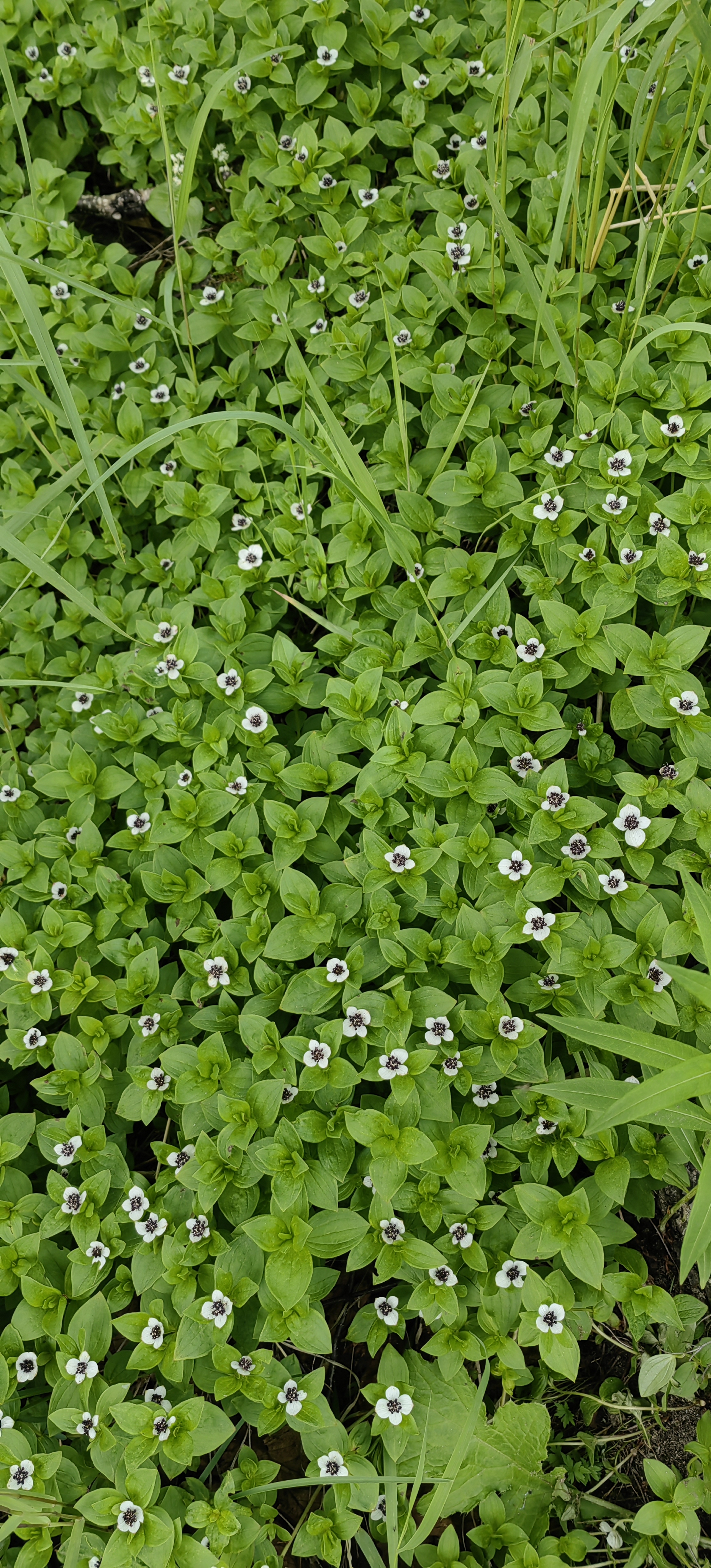 Джип-тур в край гор и водопадов (тур для компаний 1-4 чел., цена за всех) (6/29)