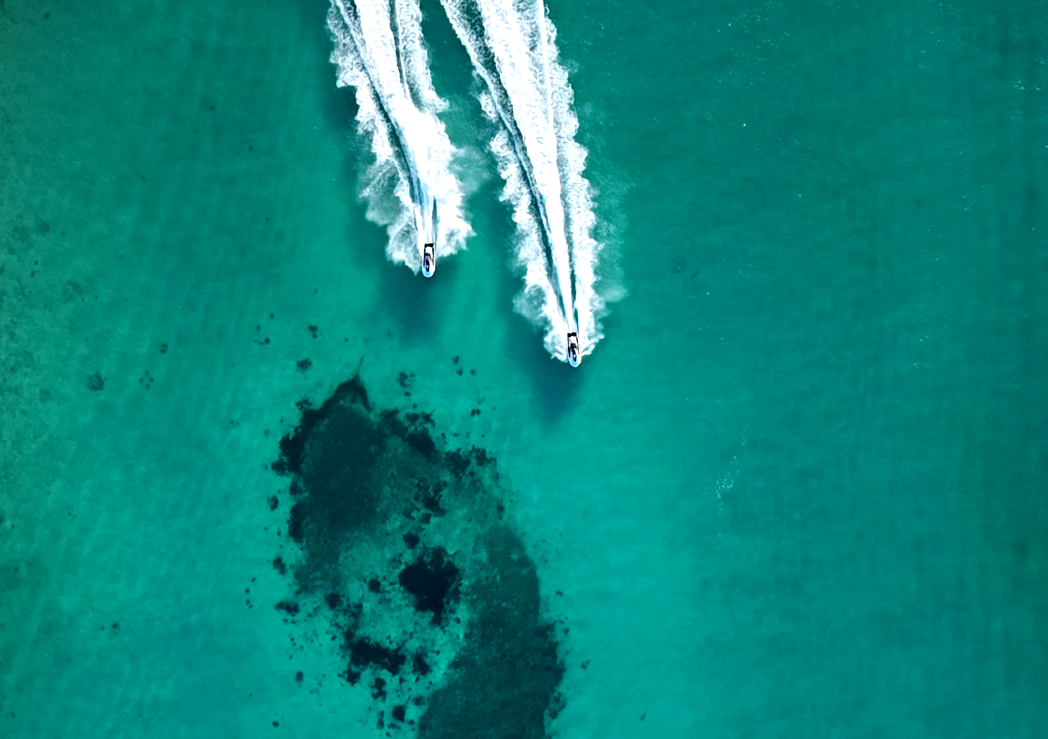 Voyager — экспедиция к бухтам с черепахами (8/18)