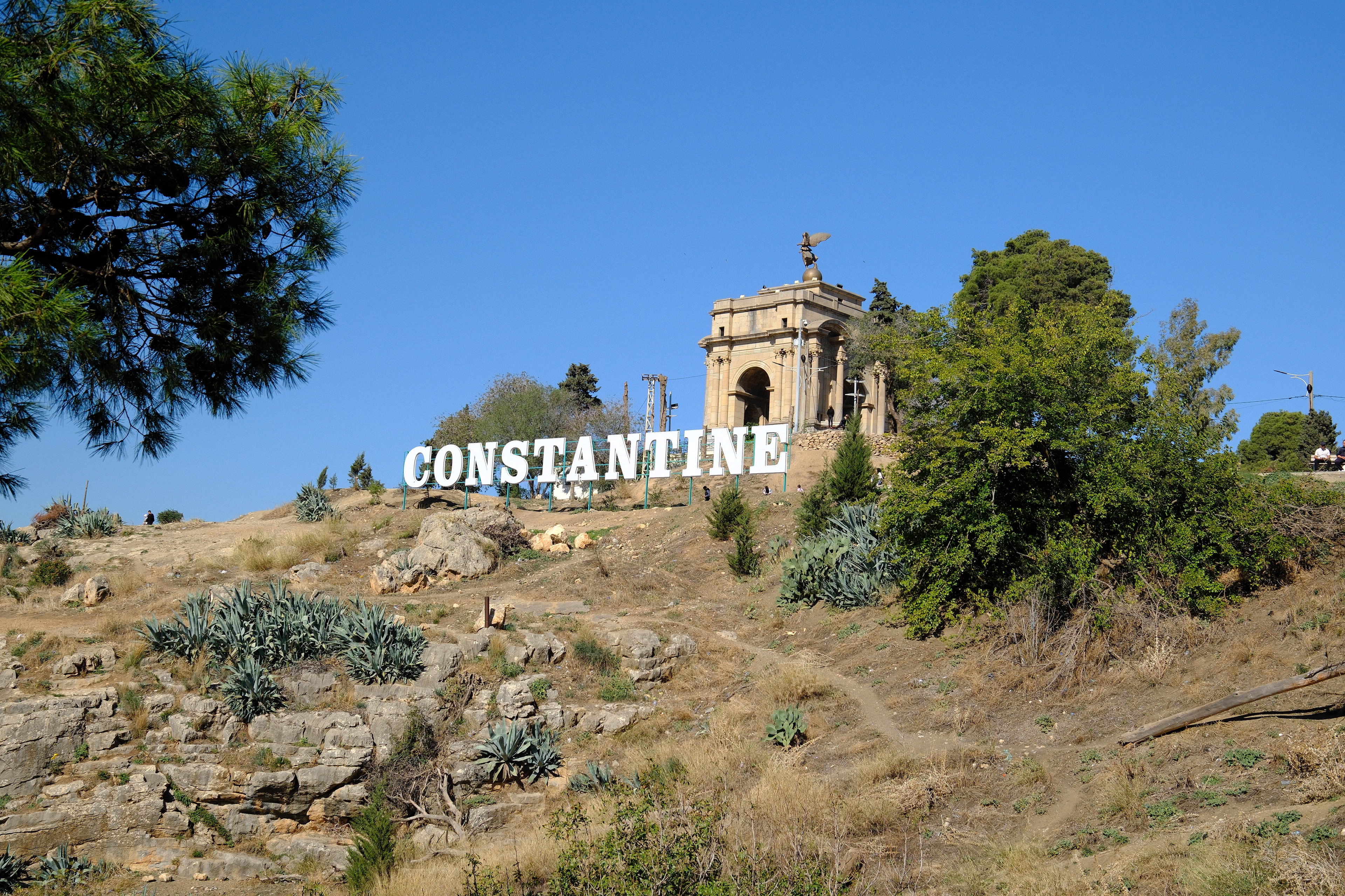 Алжир с востоковедом (8/30)