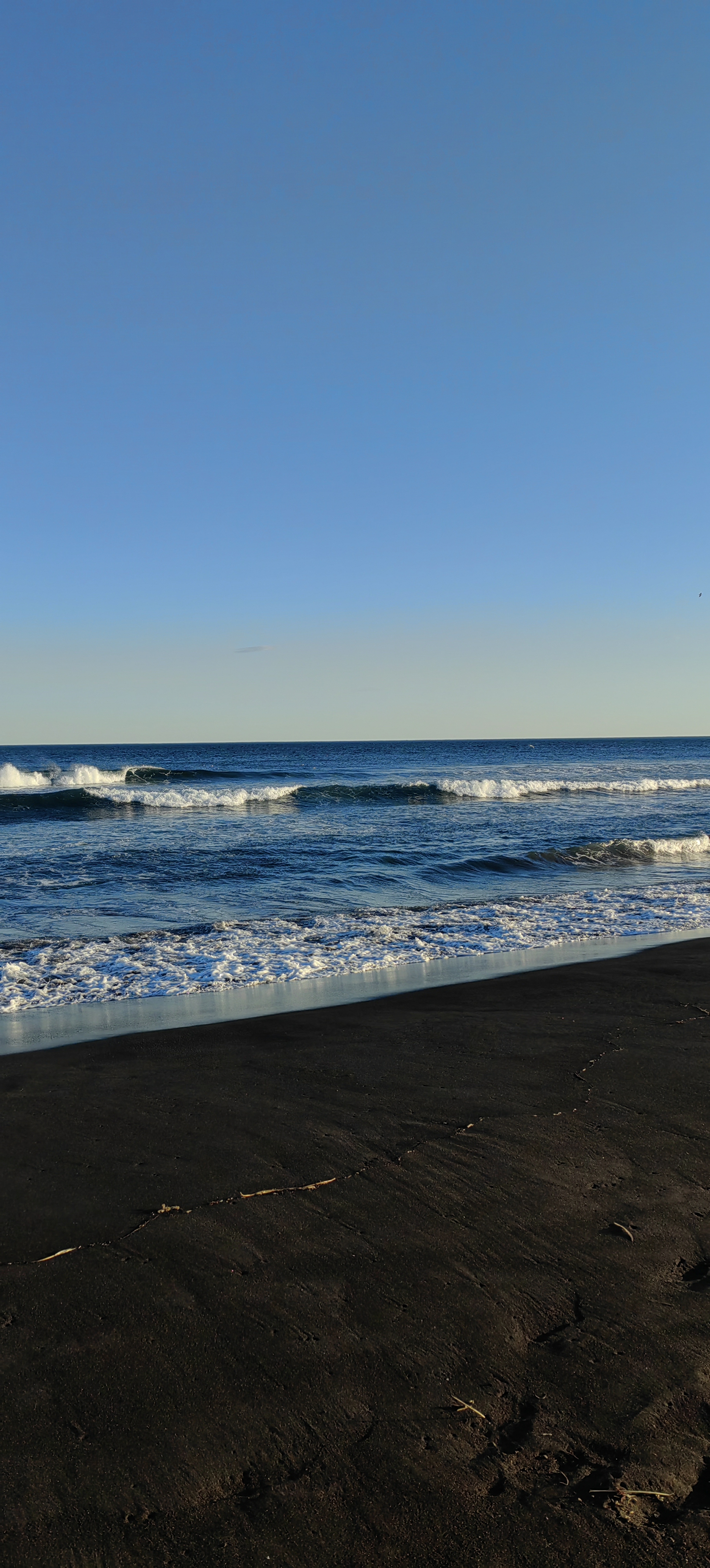 Пикник на Халактырском пляже (тур для компаний 2-4 чел.) (14/17)