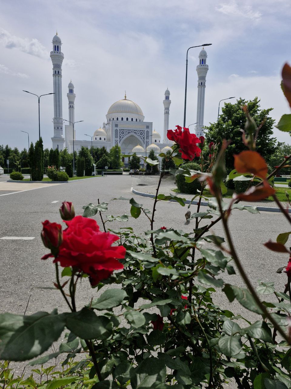 Чечня: три дня открытий (2/9)