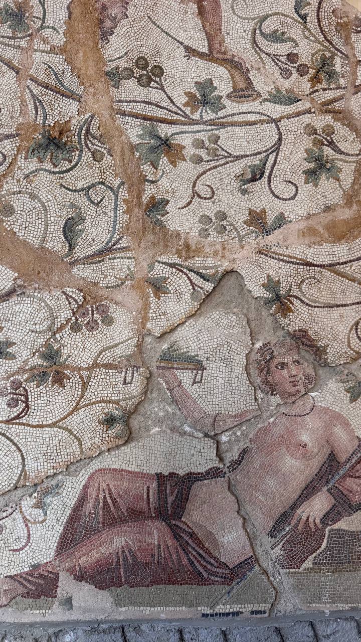 Алжир с востоковедом (22/30)