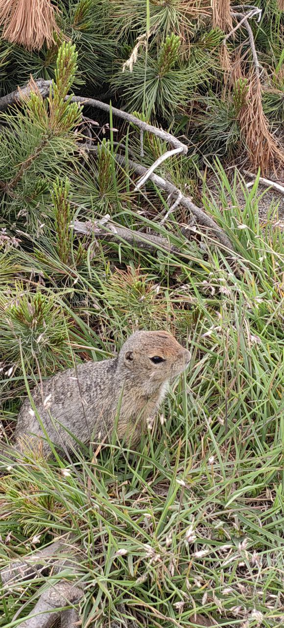 Первое знакомство с Камчаткой (тур для компаний 1-4 чел., цена за всех) (2/17)