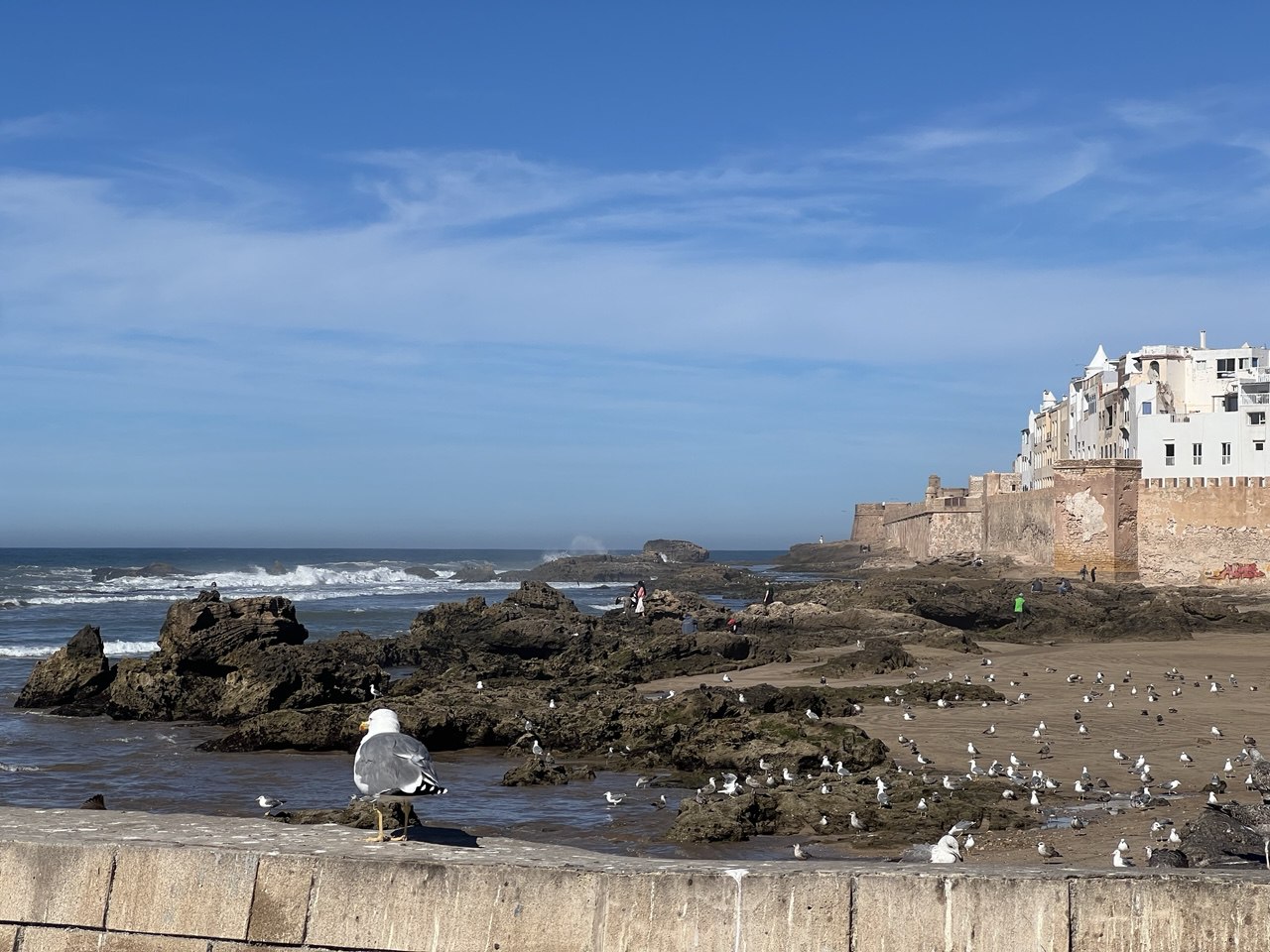 Марроканская Кругосветка (30/68)