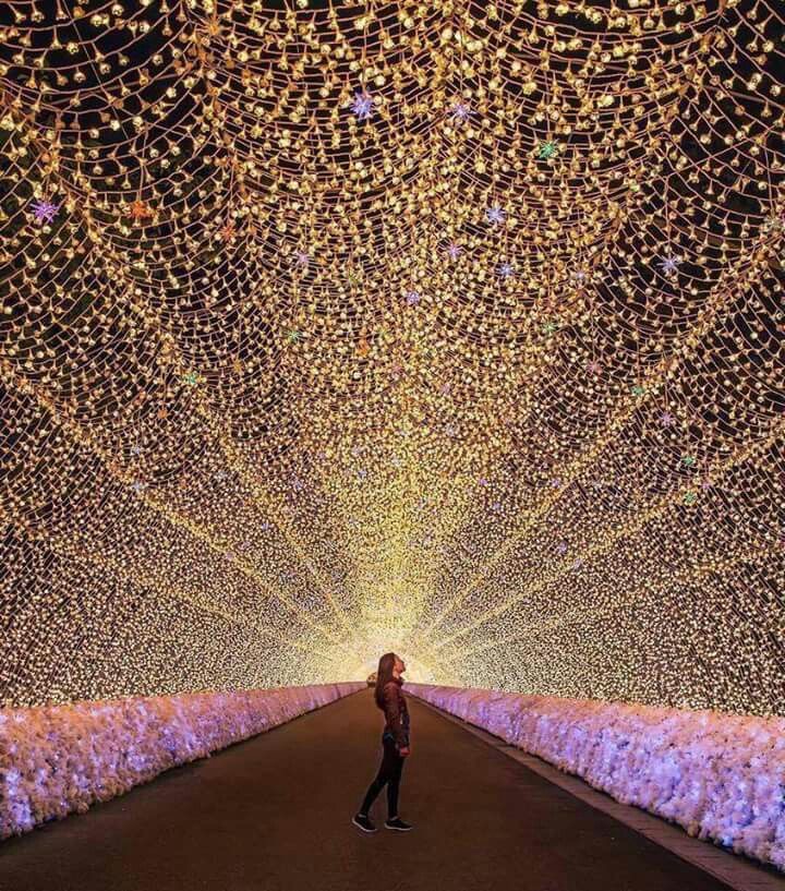 Под сенью цветущей сакуры. Нестандартный тур в Японию (13/31)