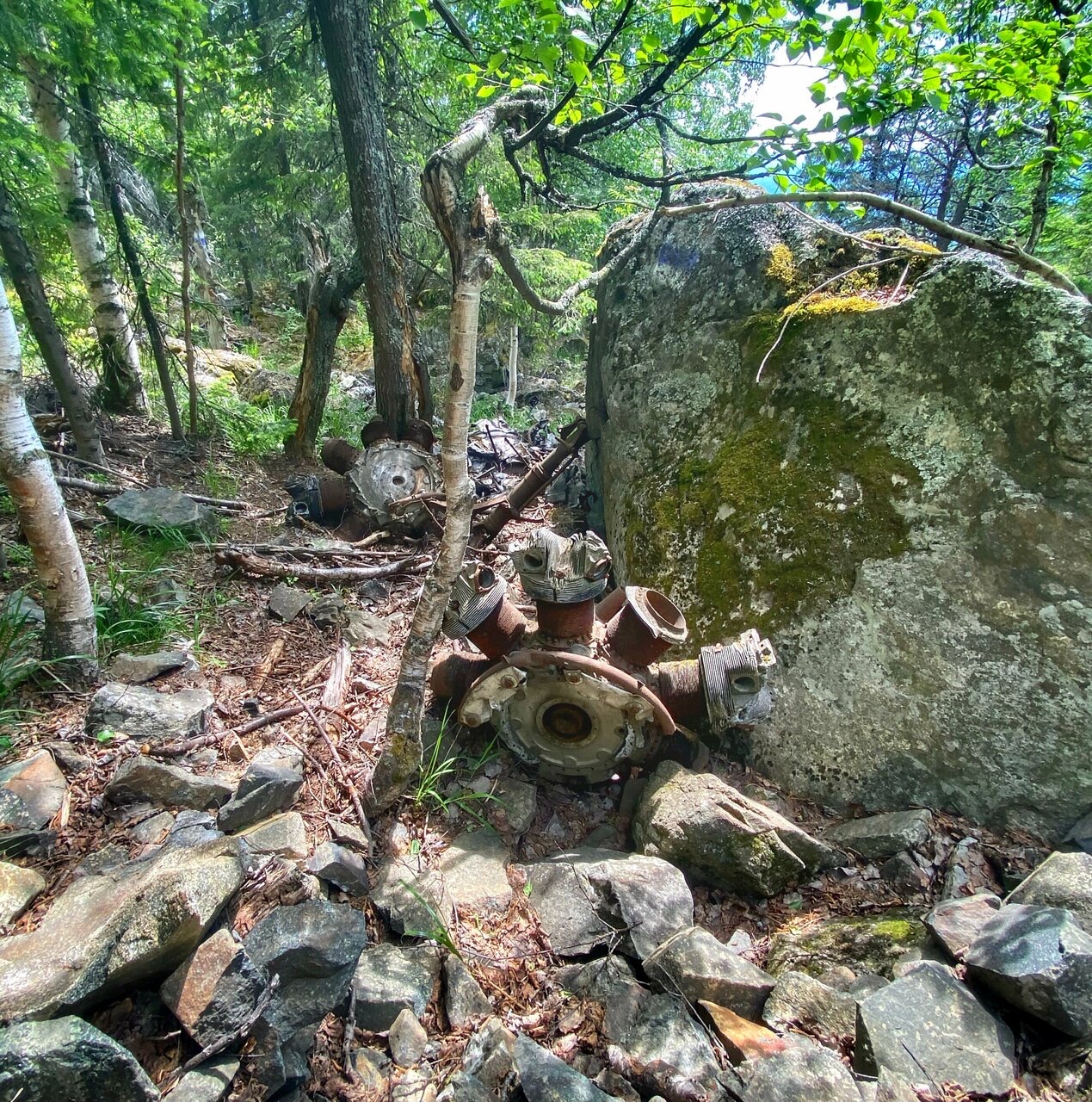 Путешествие в Висимский заповедник-эталон Среднего Урала (5/7)