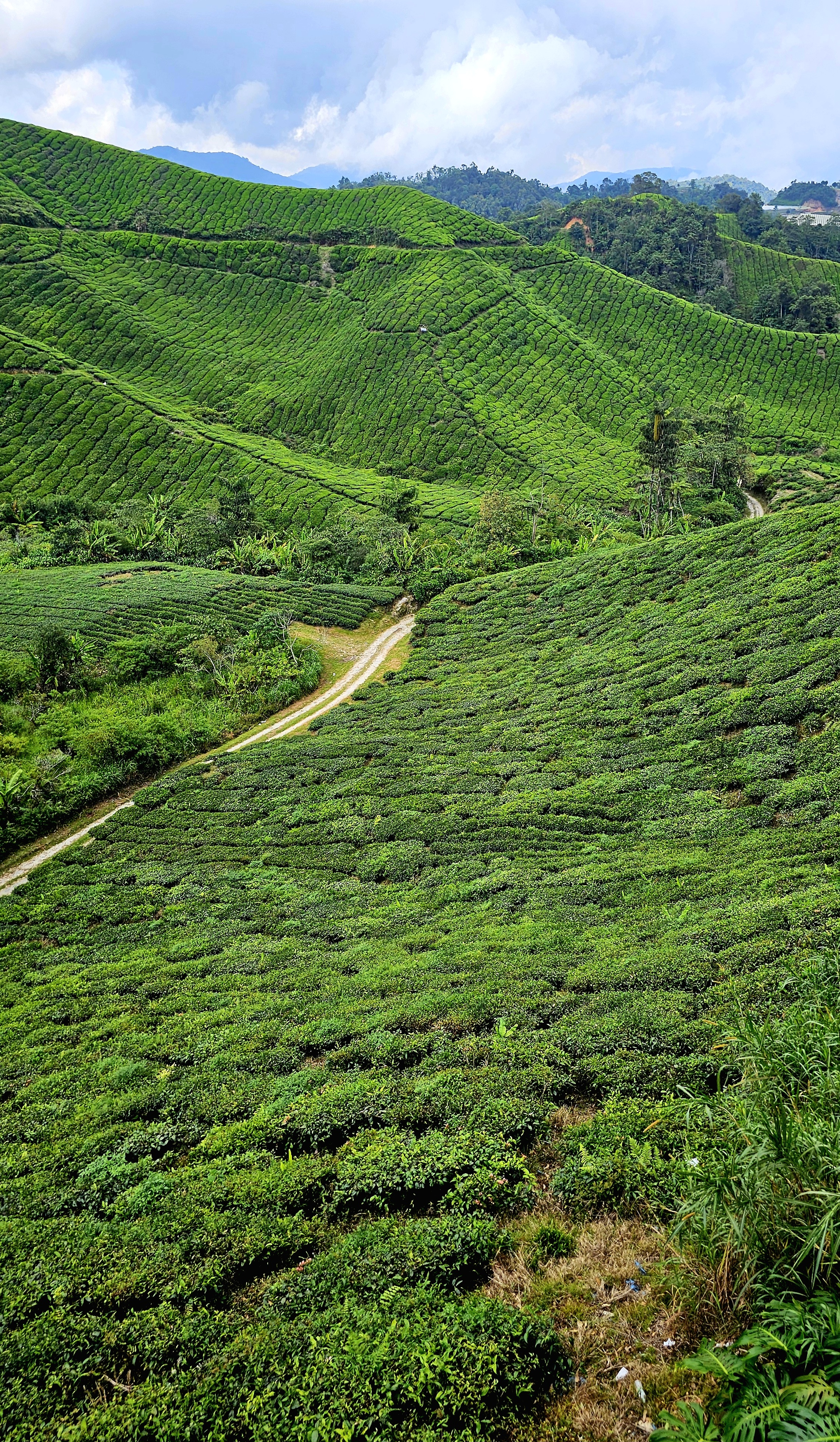 Малайзия: мегаполисы, горы и острова (12/27)