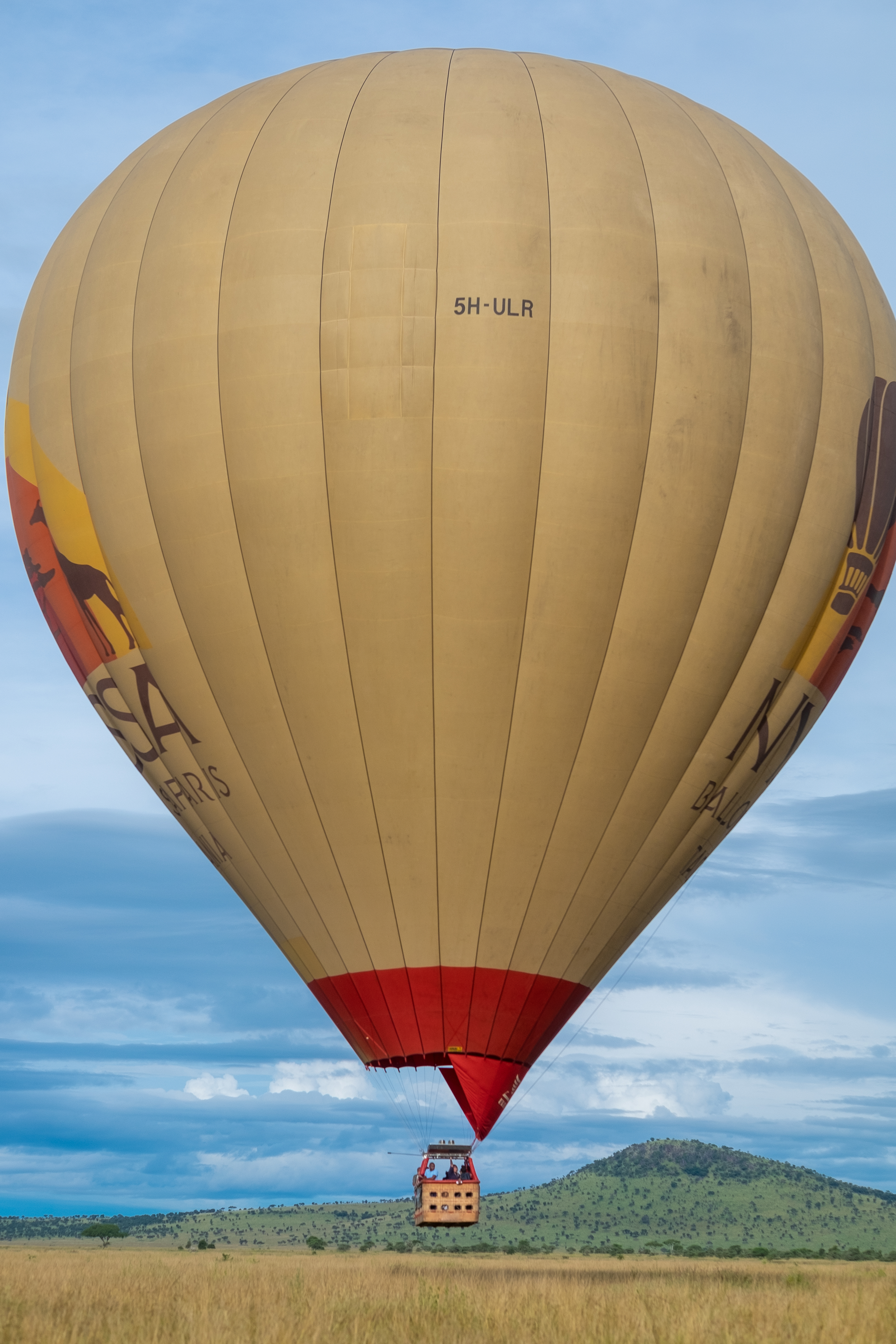 Maasai Mara Flying short and sweet safari (5/11)