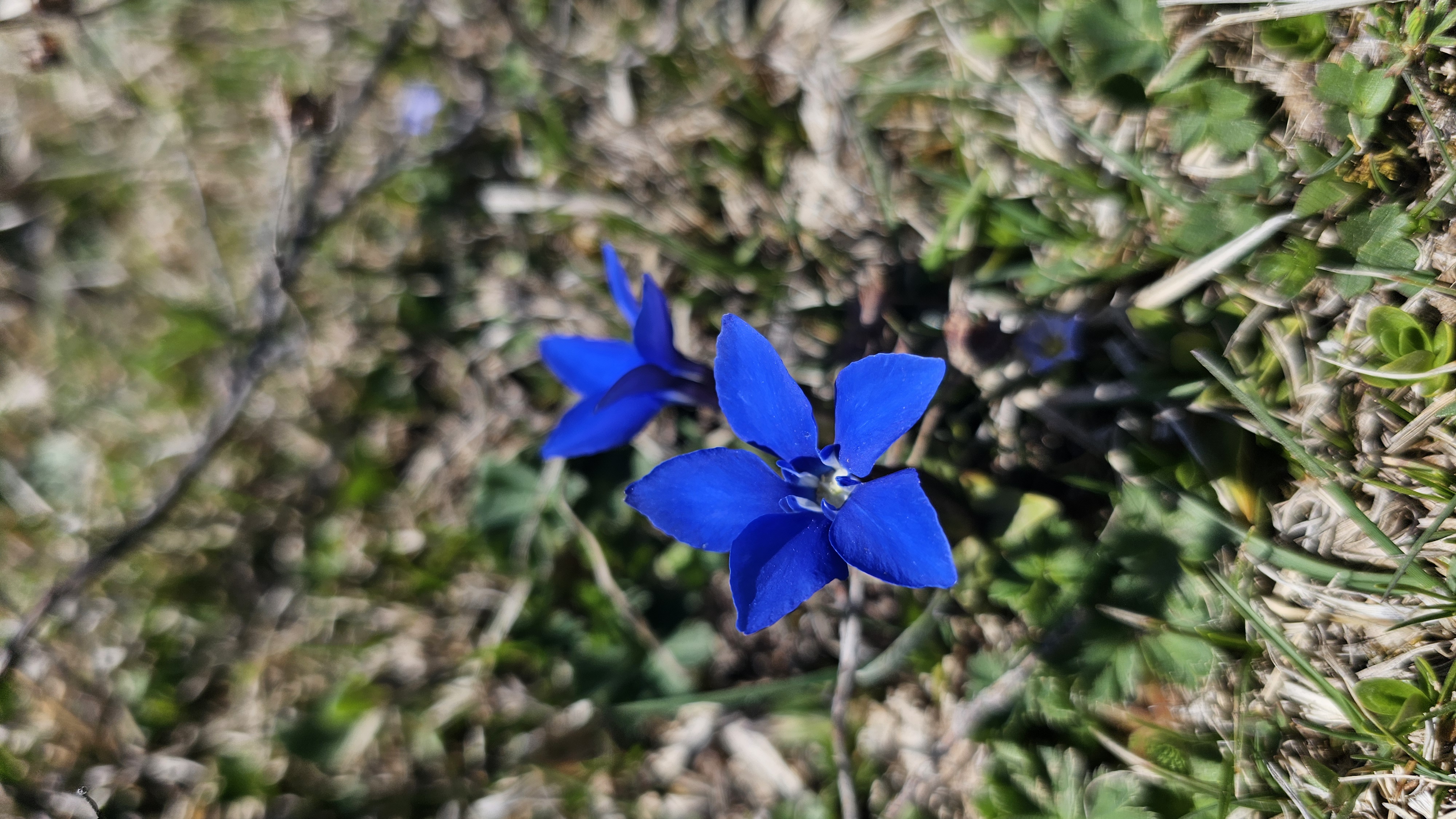 5 дней - Весеннее пламя Дагестана (27/52)
