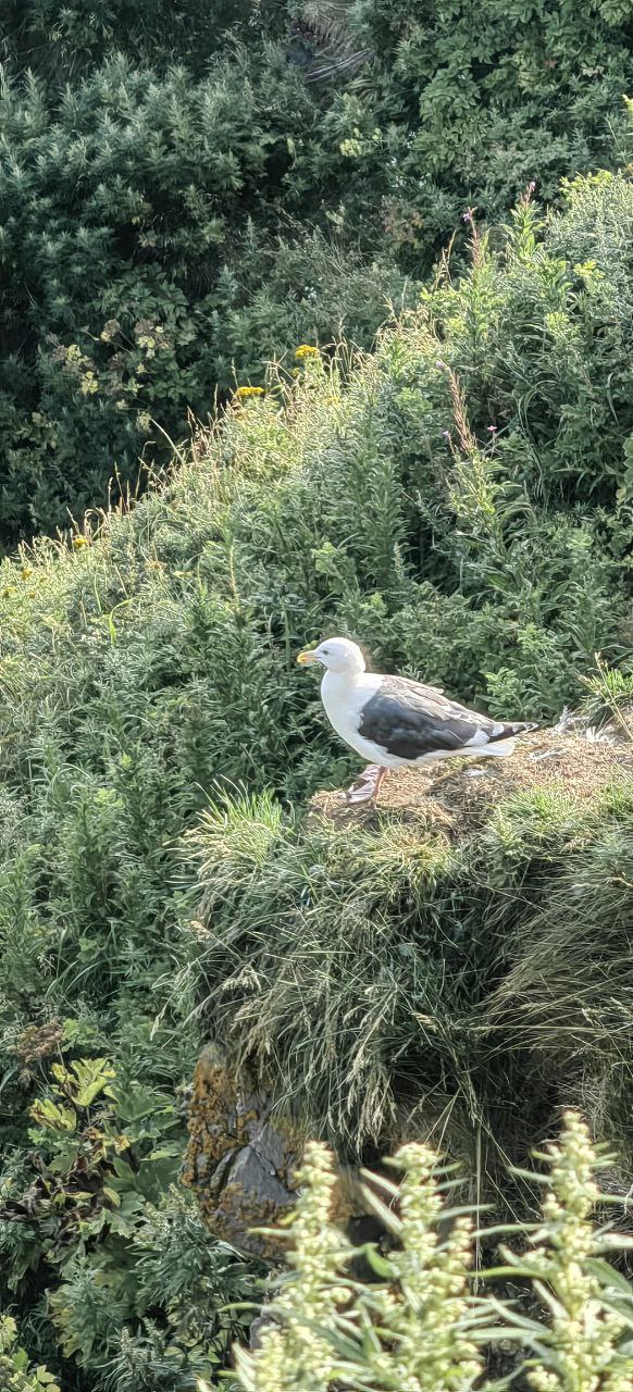 Здесь начинается Россия (тур для компаний 1-4 чел.) (6/18)