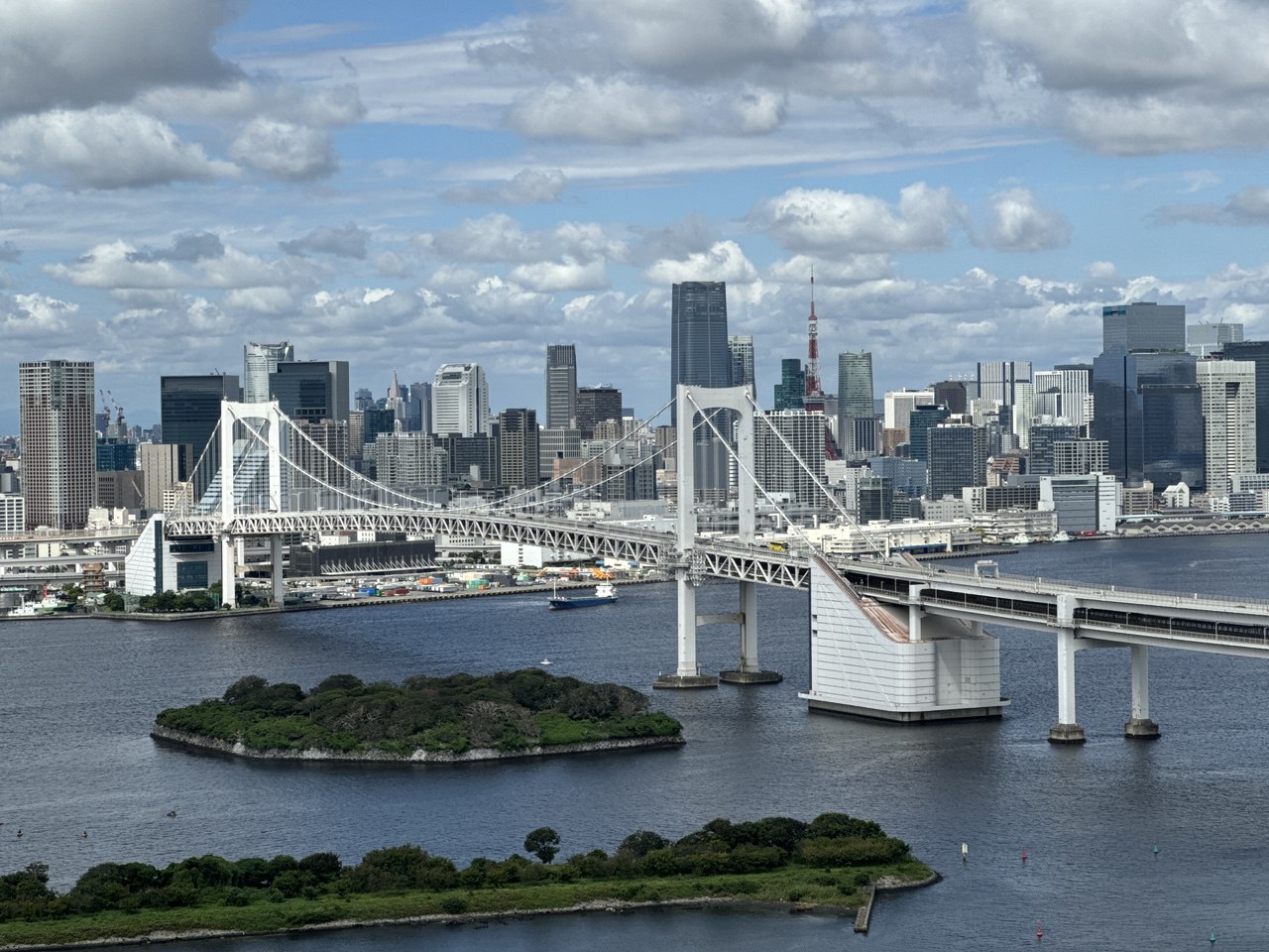 Под сенью цветущей сакуры. Нестандартный тур в Японию (4/31)