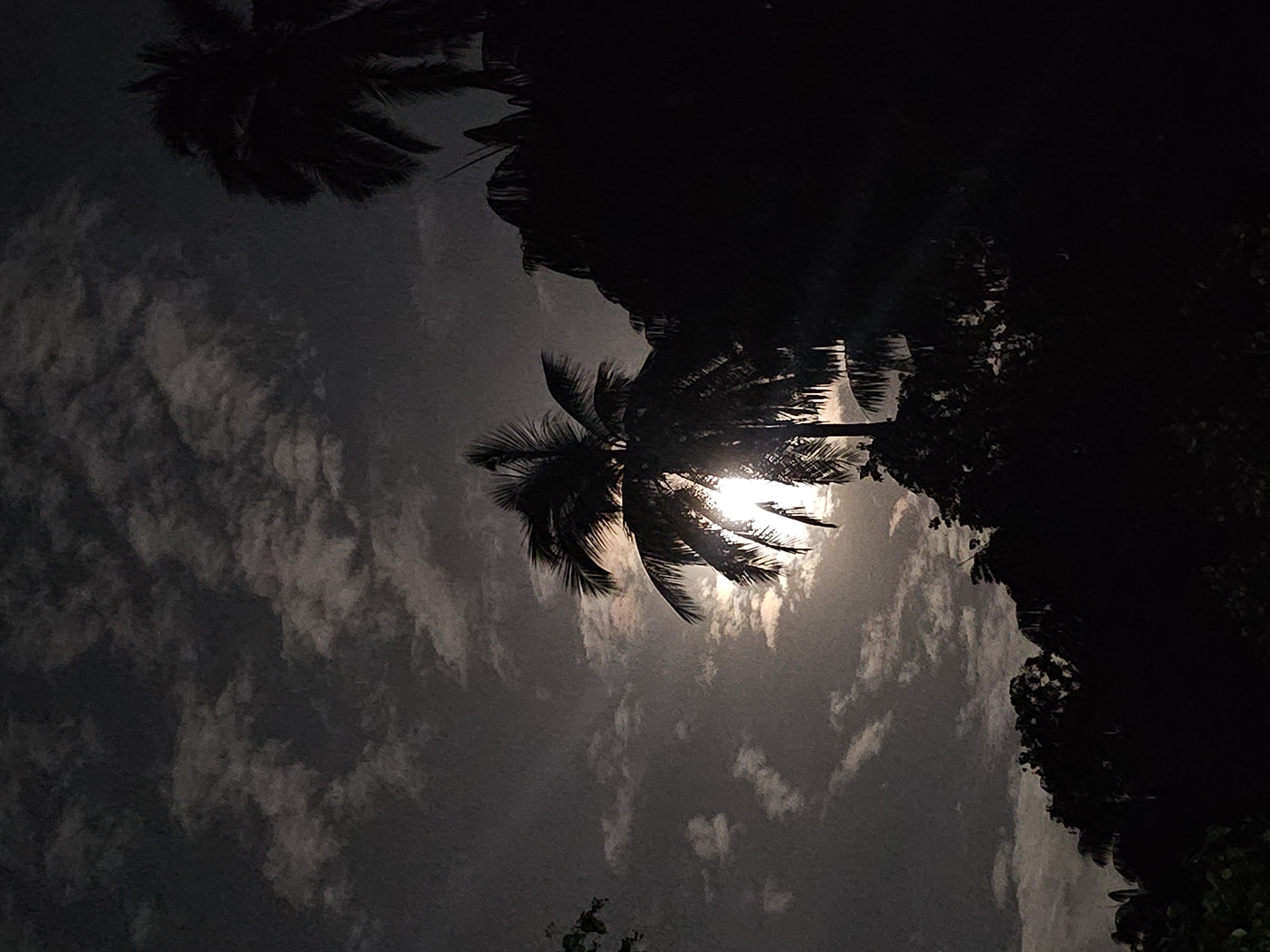 Малайзия: мегаполисы, горы и острова (19/27)