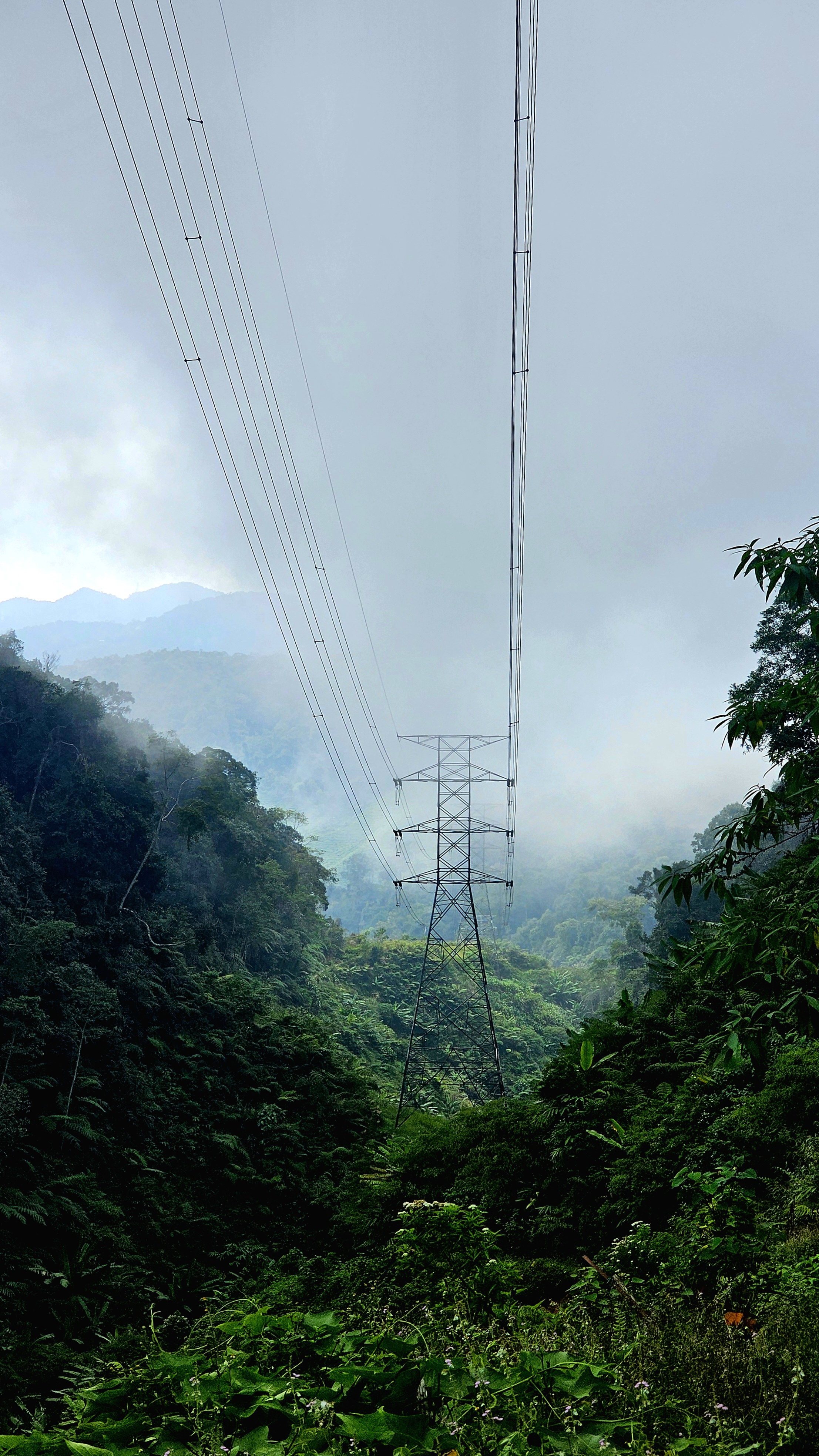 Малайзия: мегаполисы, горы и острова (8/27)