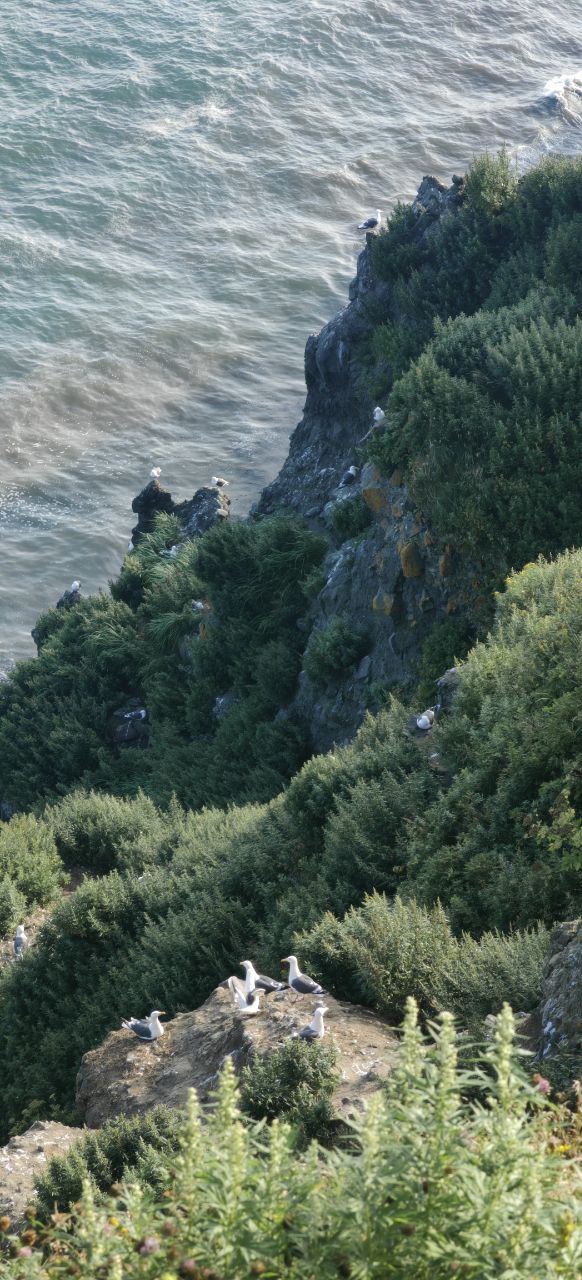 Здесь начинается Россия (тур для компаний 1-4 чел.) (16/18)