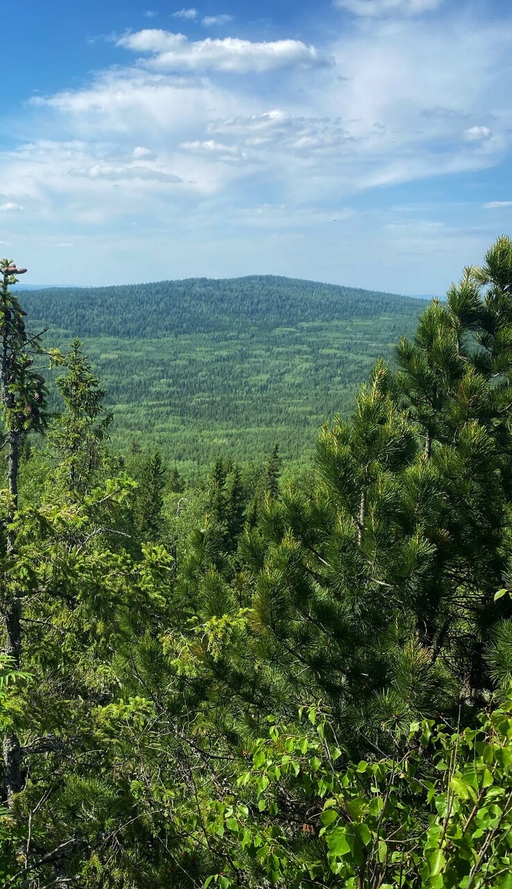 Путешествие в Висимский заповедник-эталон Среднего Урала (4/7)