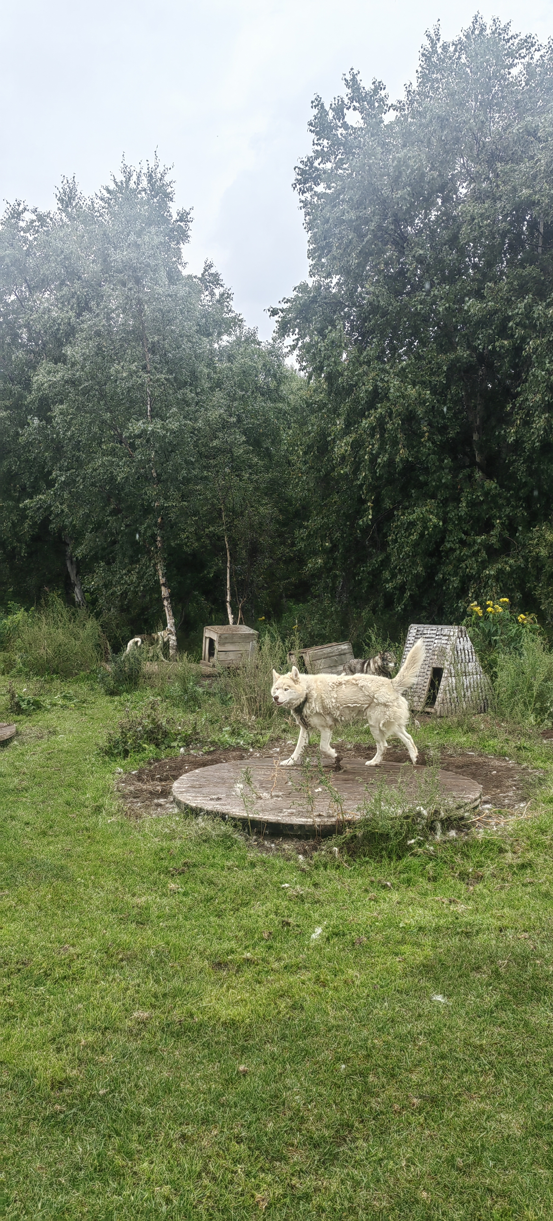Первое знакомство с Камчаткой (тур для компаний 1-4 чел., цена за всех) (17/17)