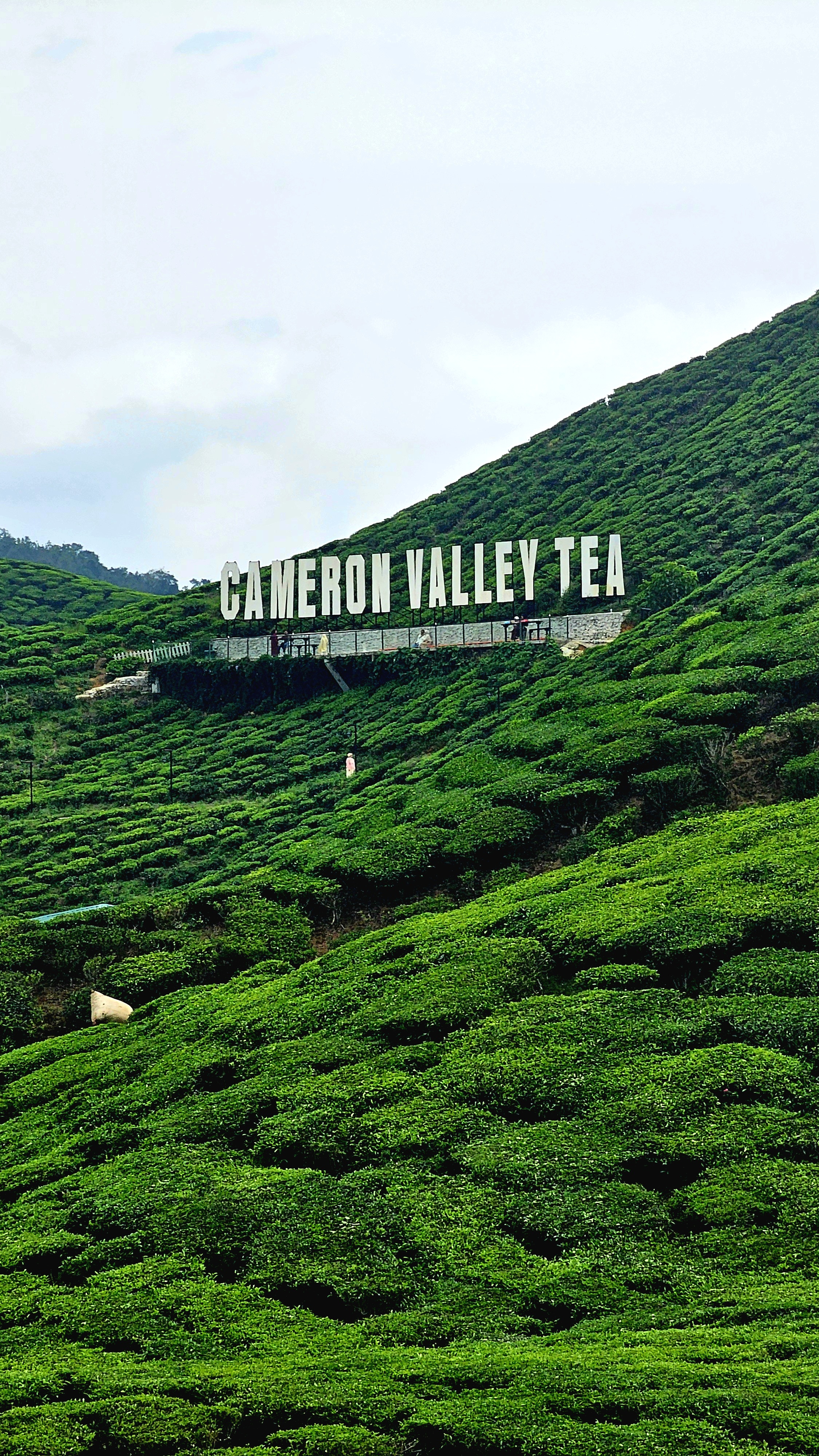 Малайзия: мегаполисы, горы и острова