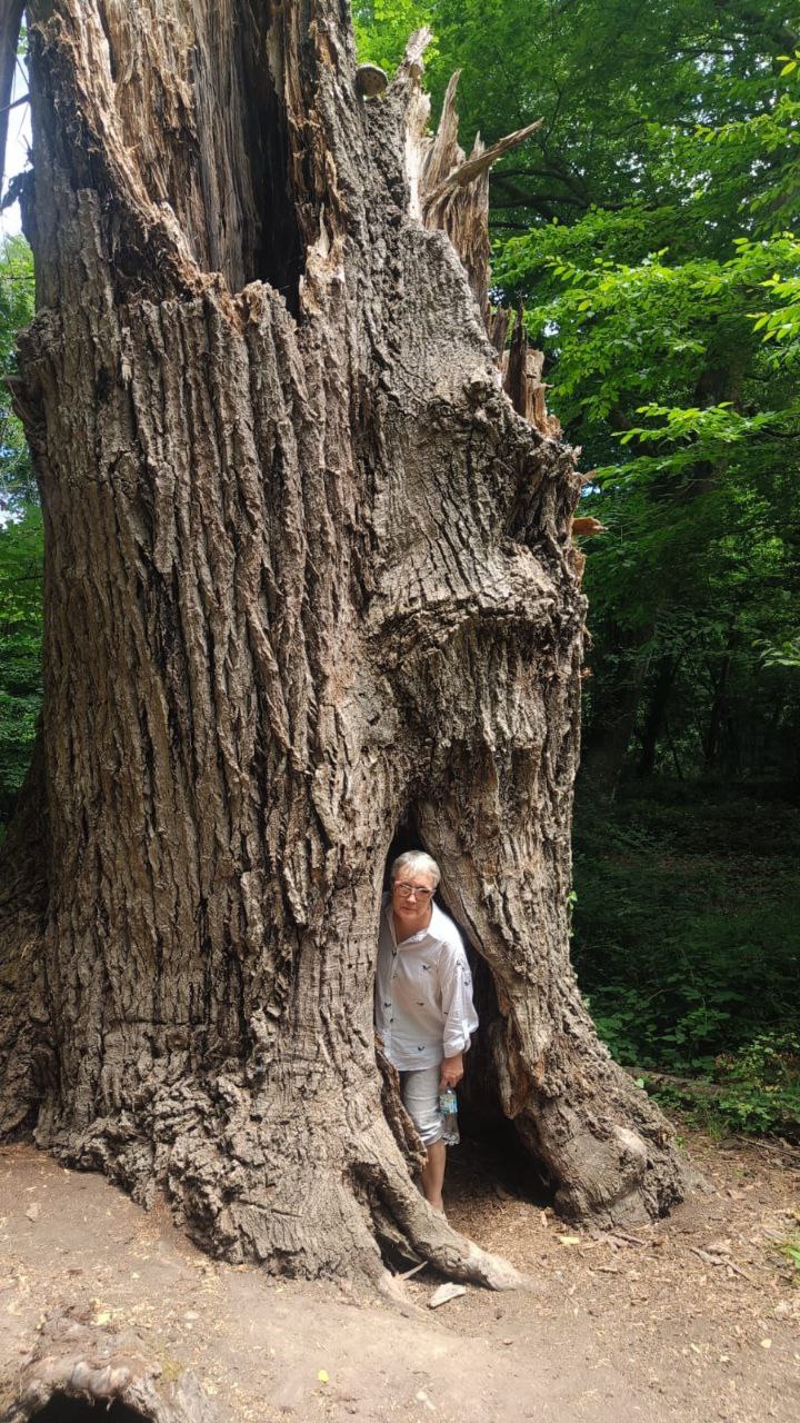 Самурский лиановый лес, экраноплан Лунь и пляж с черным песком. Купальный тур. (8/10)