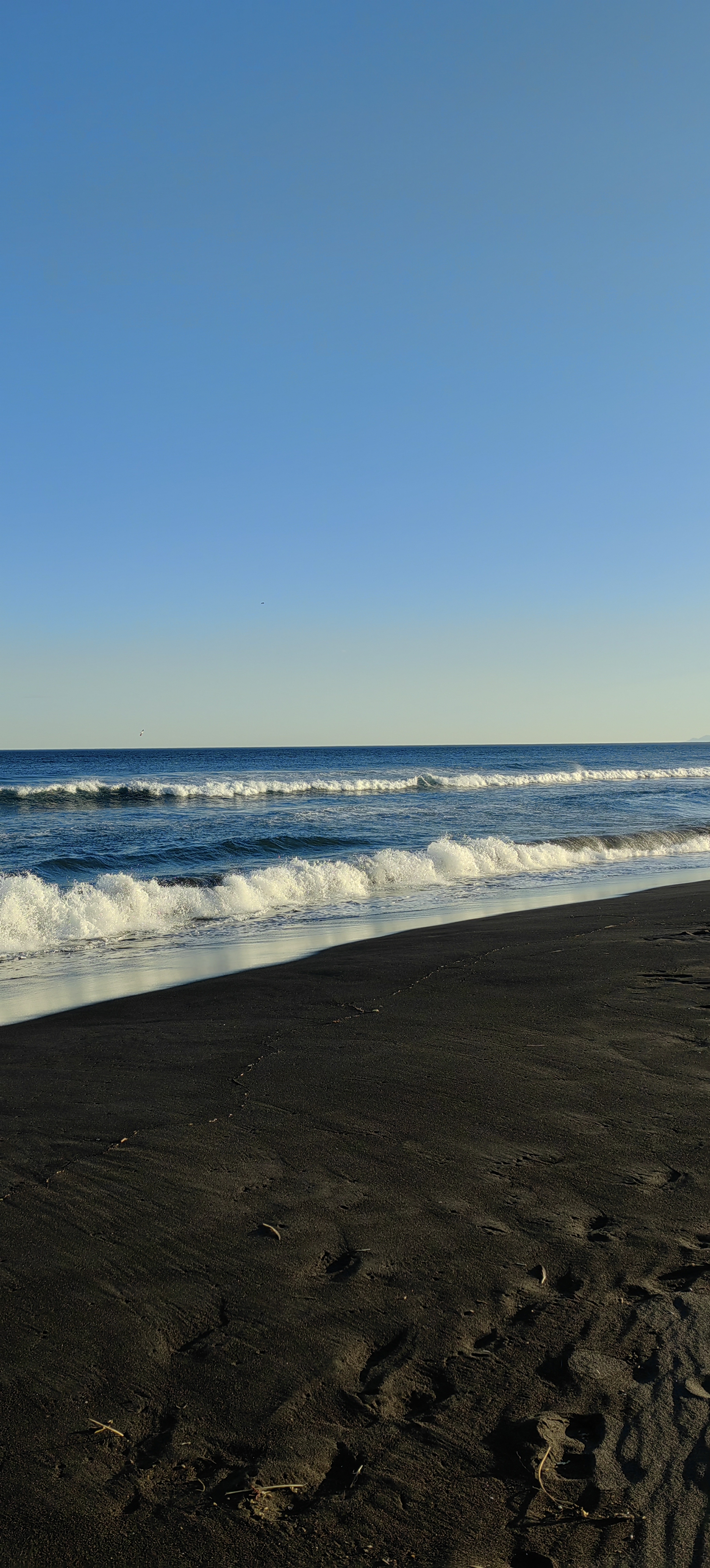 Пикник на Халактырском пляже (тур для компаний 2-4 чел.) (17/17)