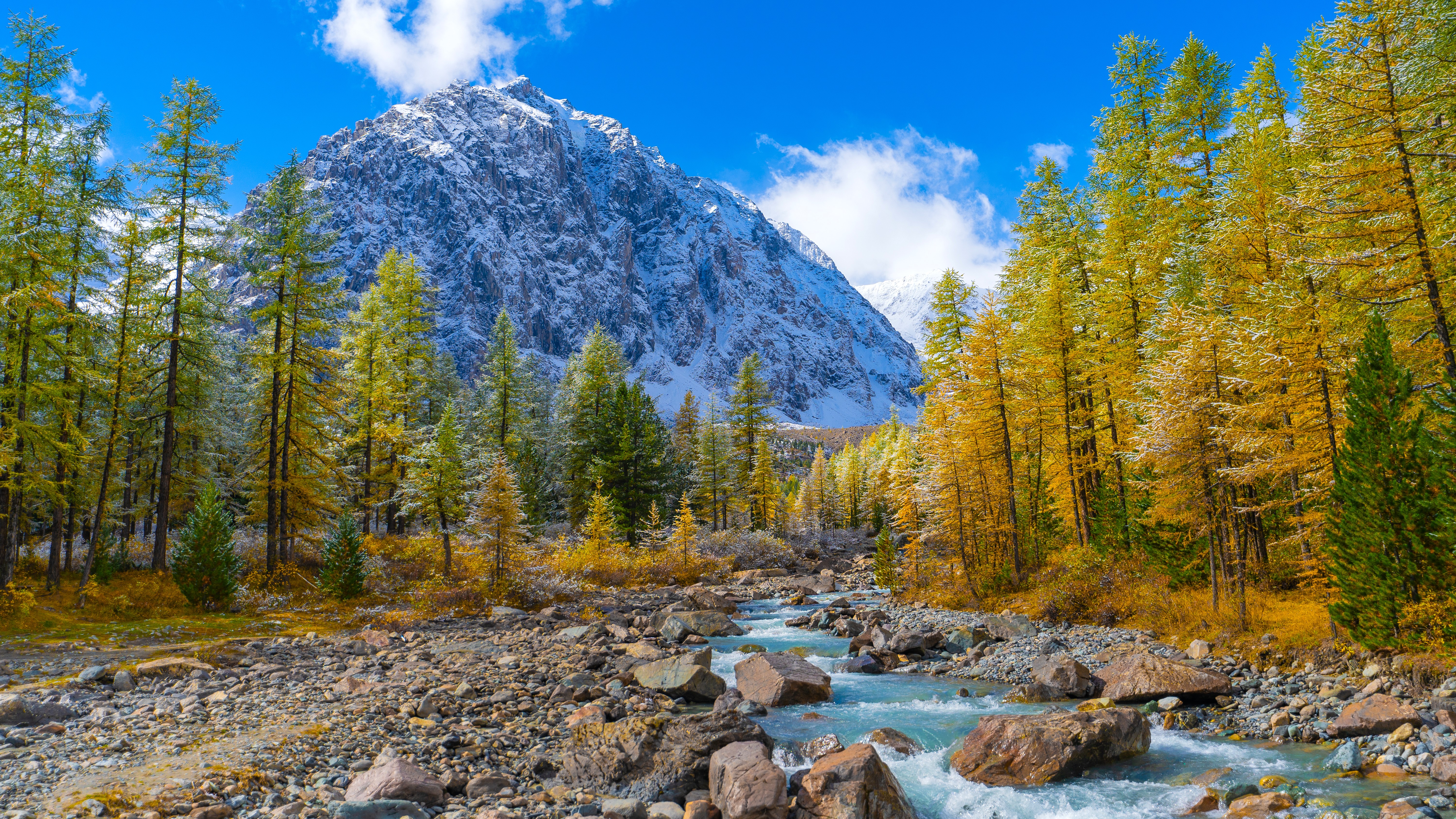 Путешествие Весь Алтай (10 дней) (1/104)