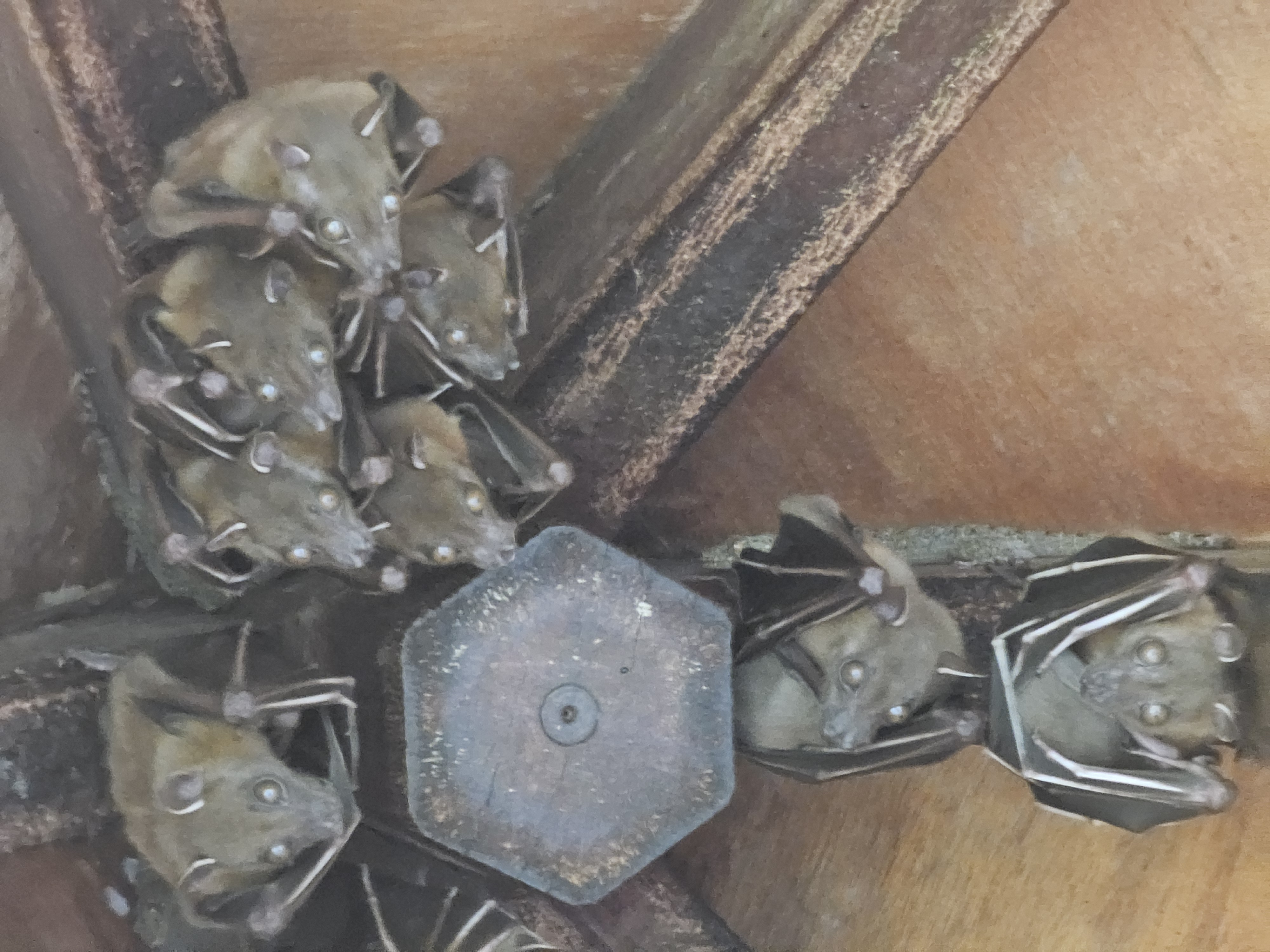 Малайзия: мегаполисы, горы и острова (25/27)