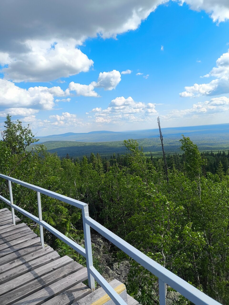 Путешествие в Висимский заповедник-эталон Среднего Урала (3/7)
