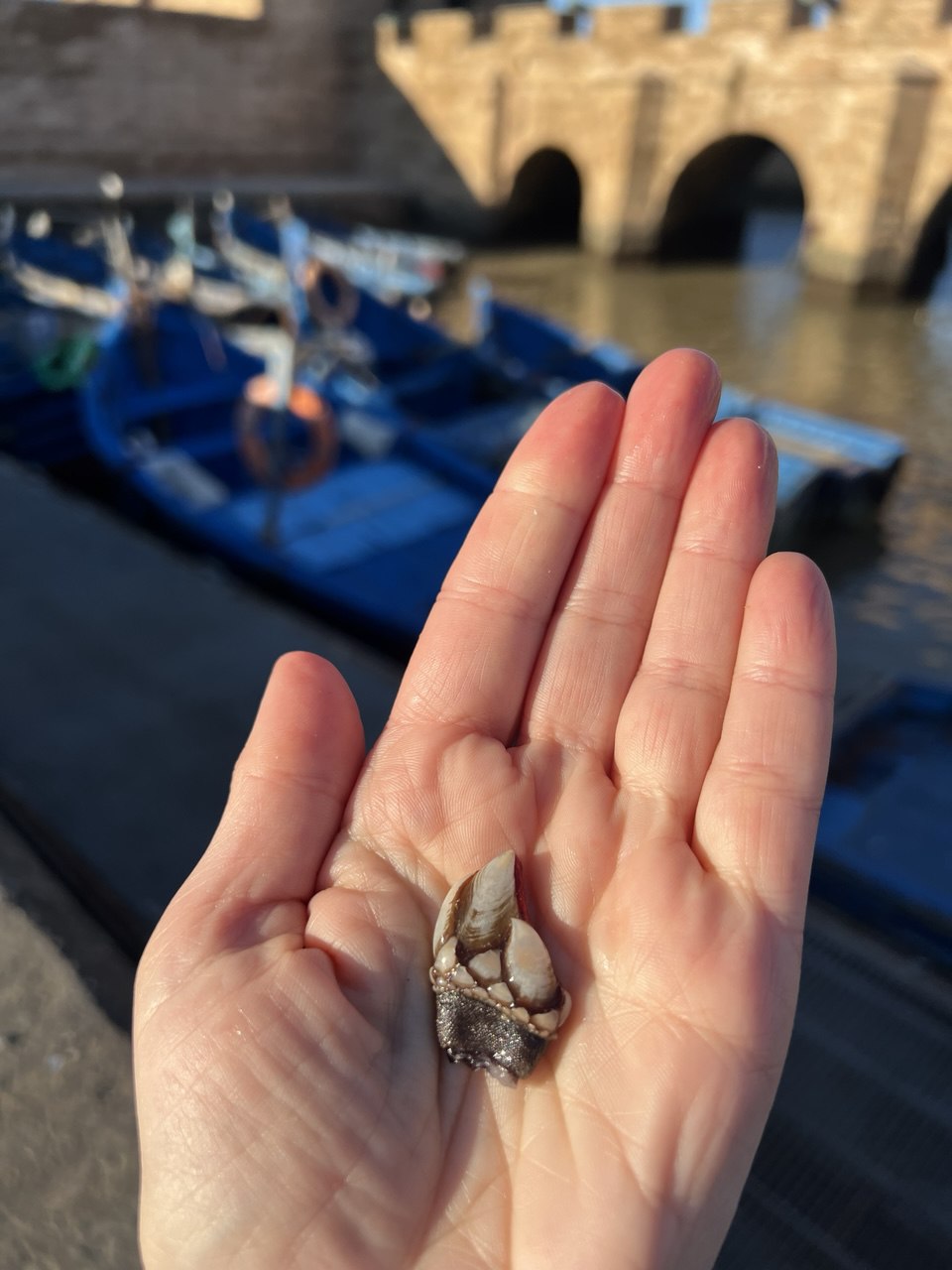 Марроканская Кругосветка (19/68)