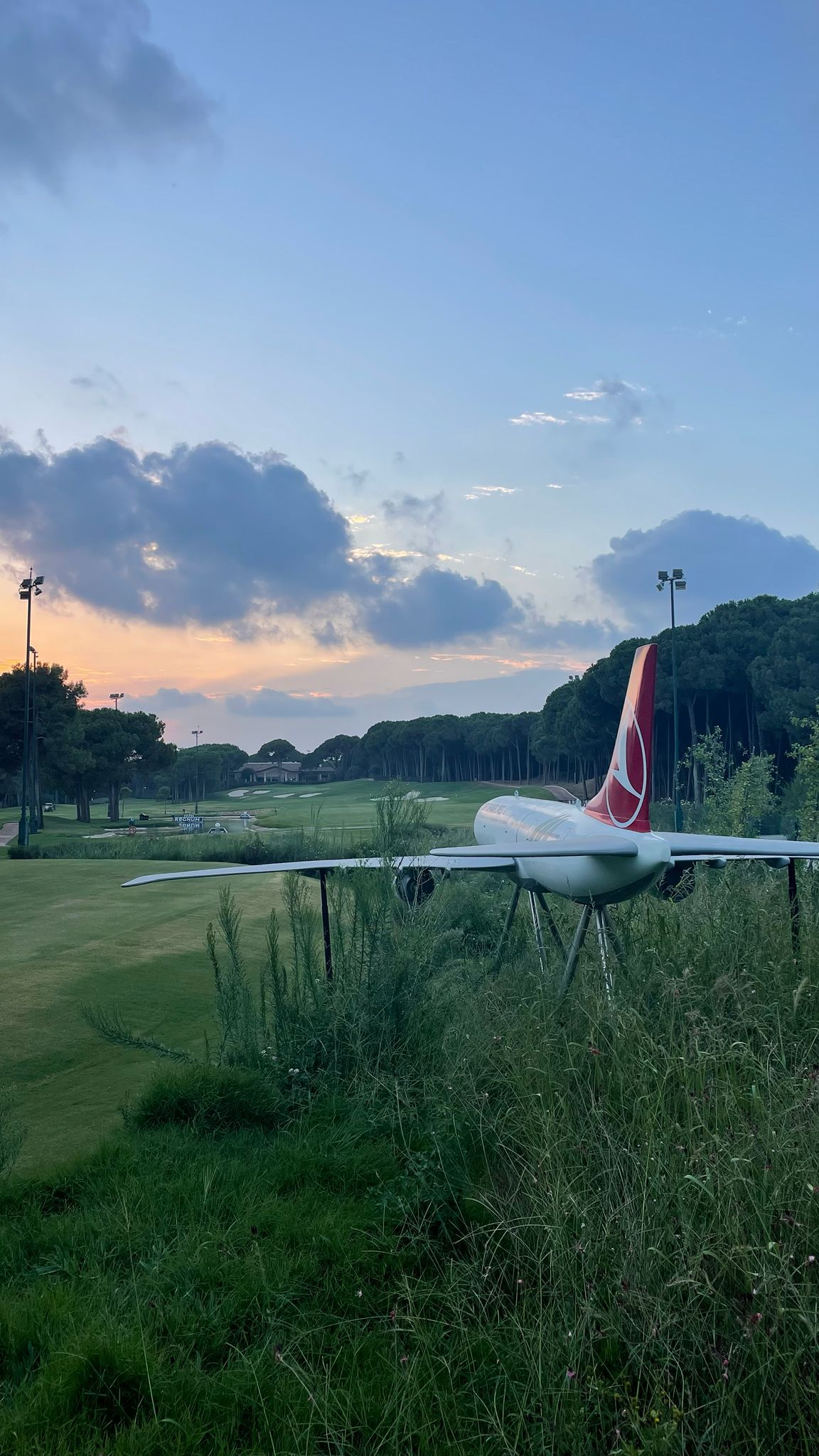 Гольф. Искусство первого удара. (9/9)