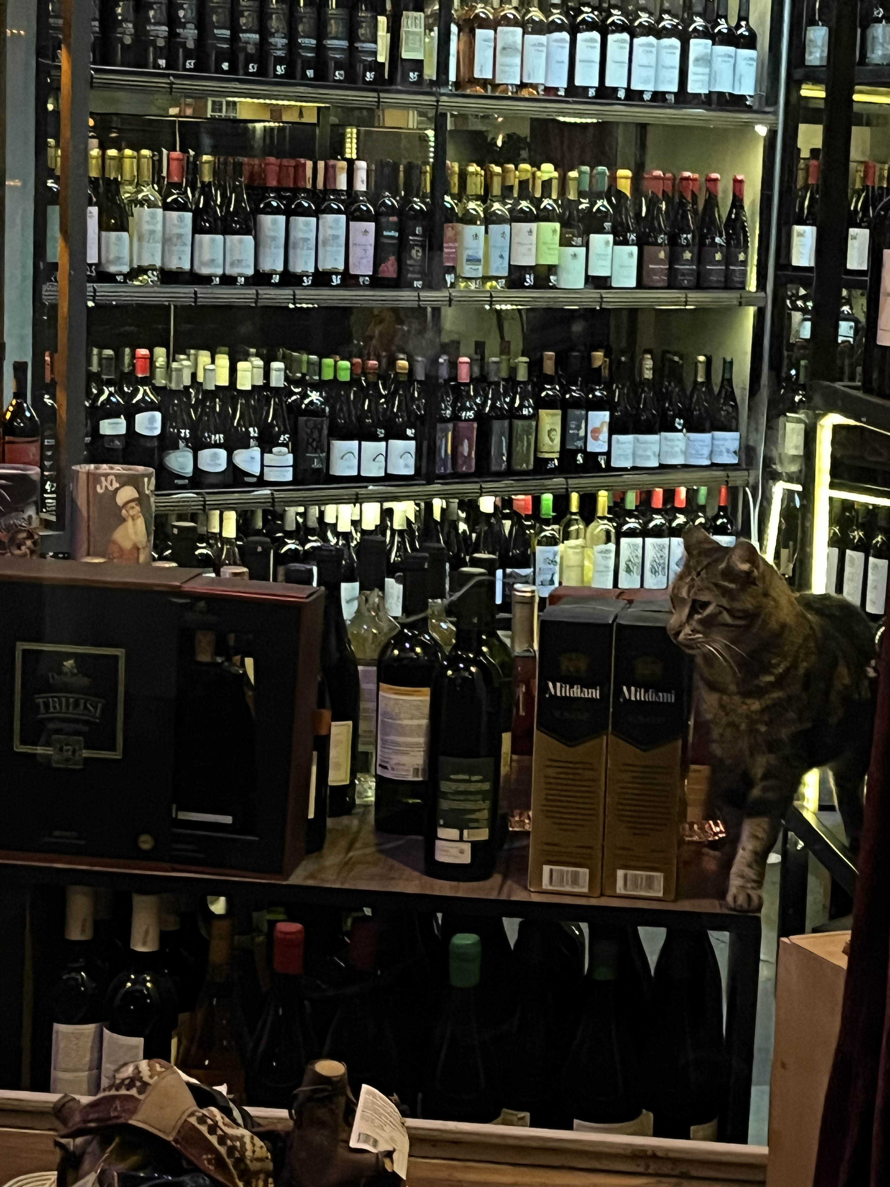 8 улетных дней в Армении и Грузии +винный фестиваль (112/167)